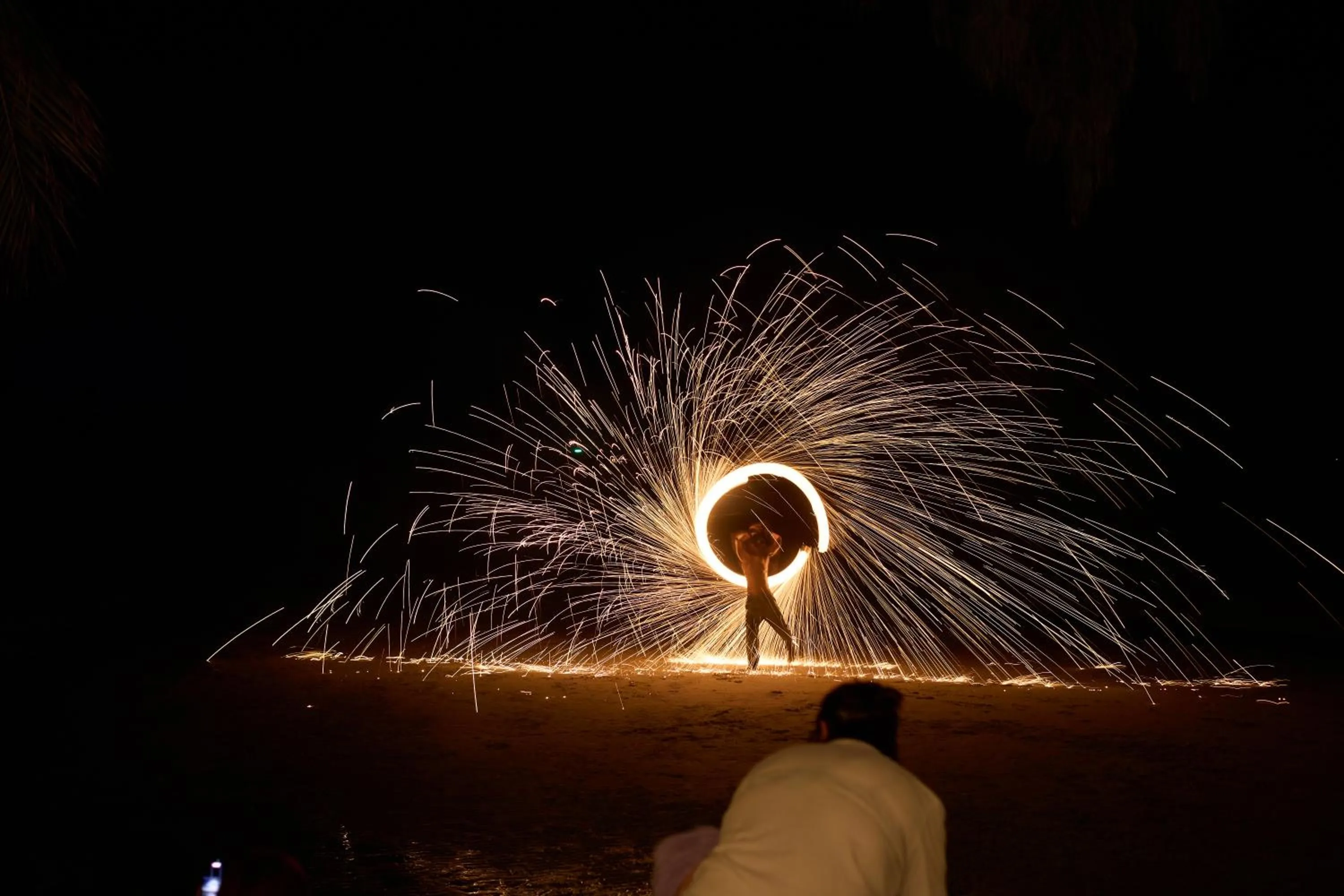 The Survival by Seudam