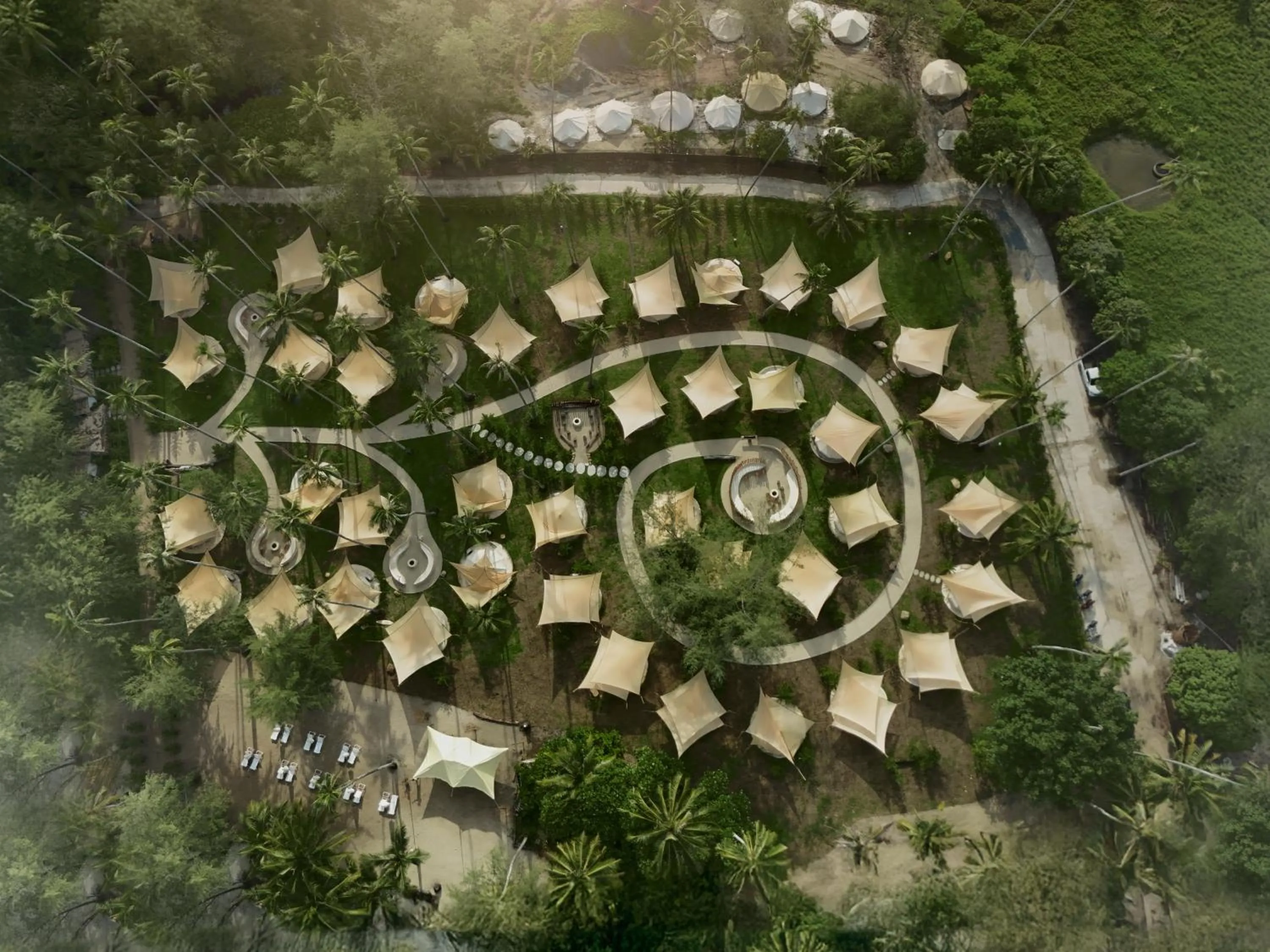 The Survival by Seudam