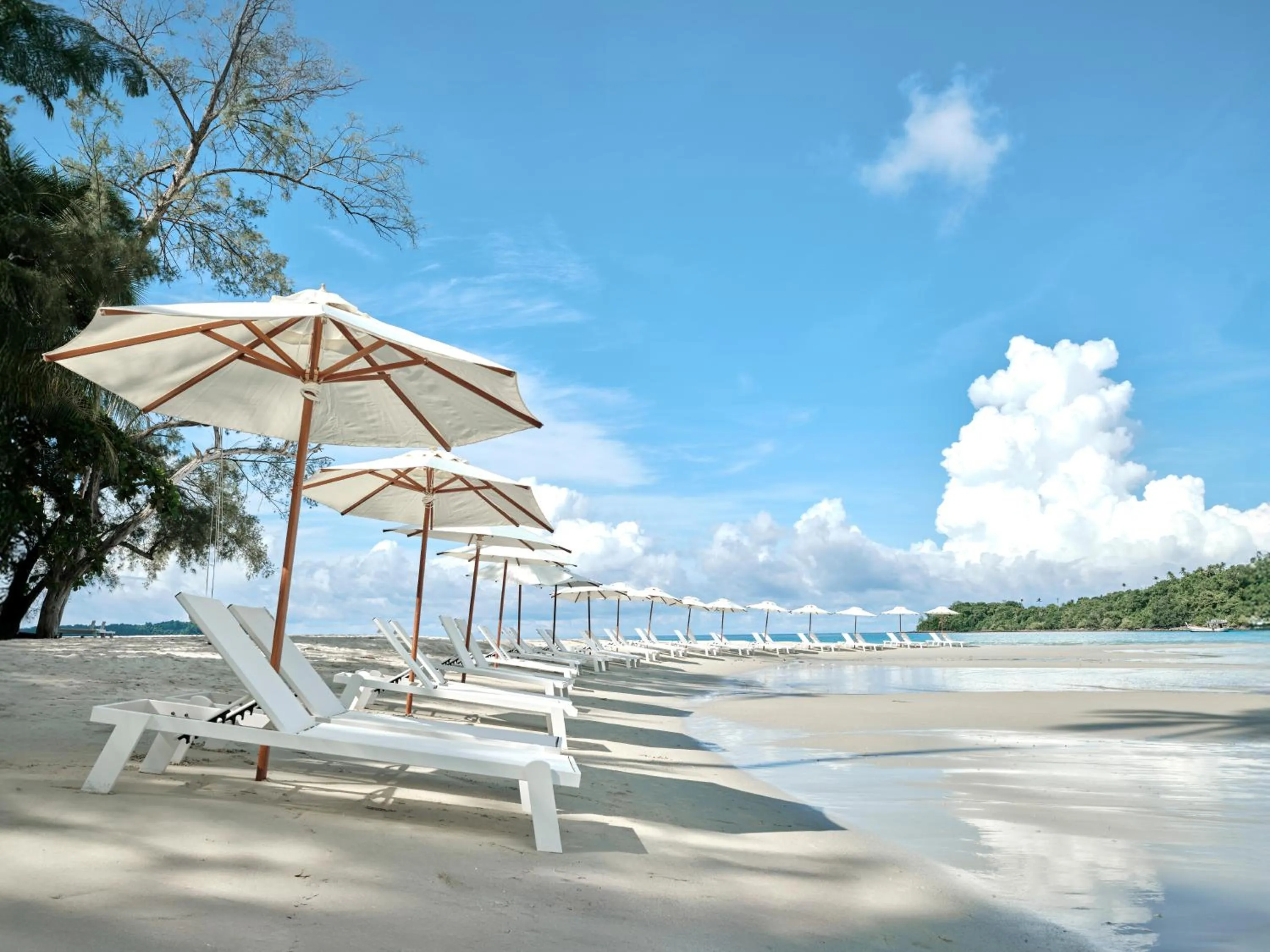 The Survival by Seudam