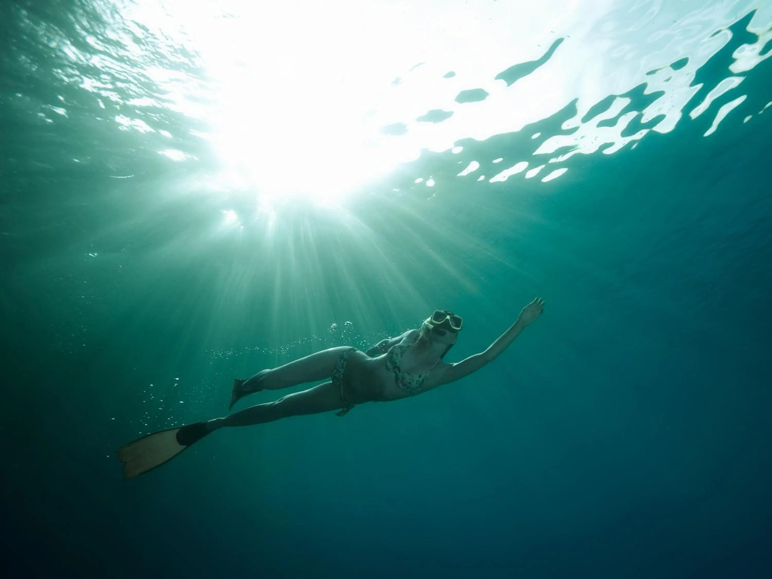 People in The Survival by Seudam