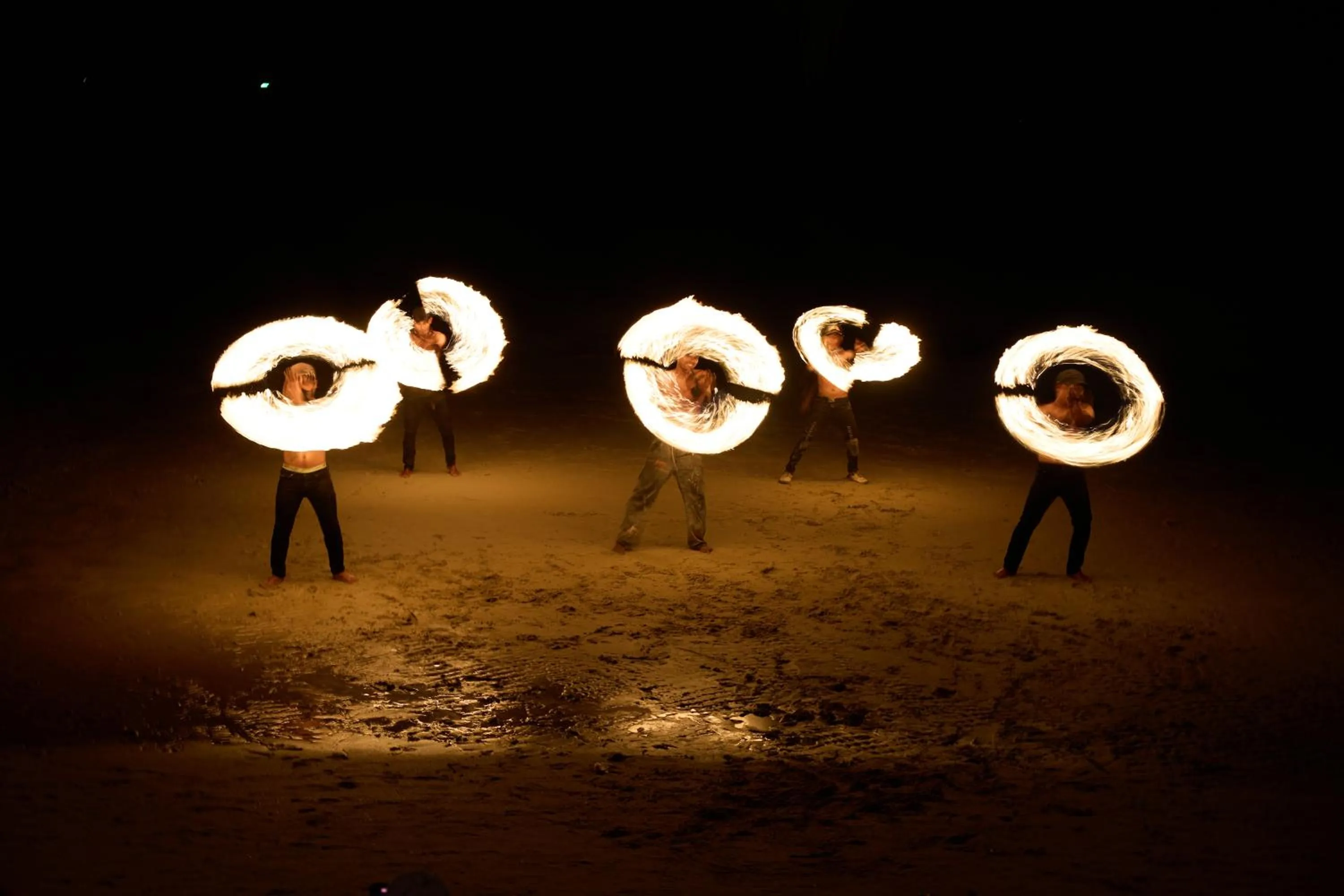 The Survival by Seudam