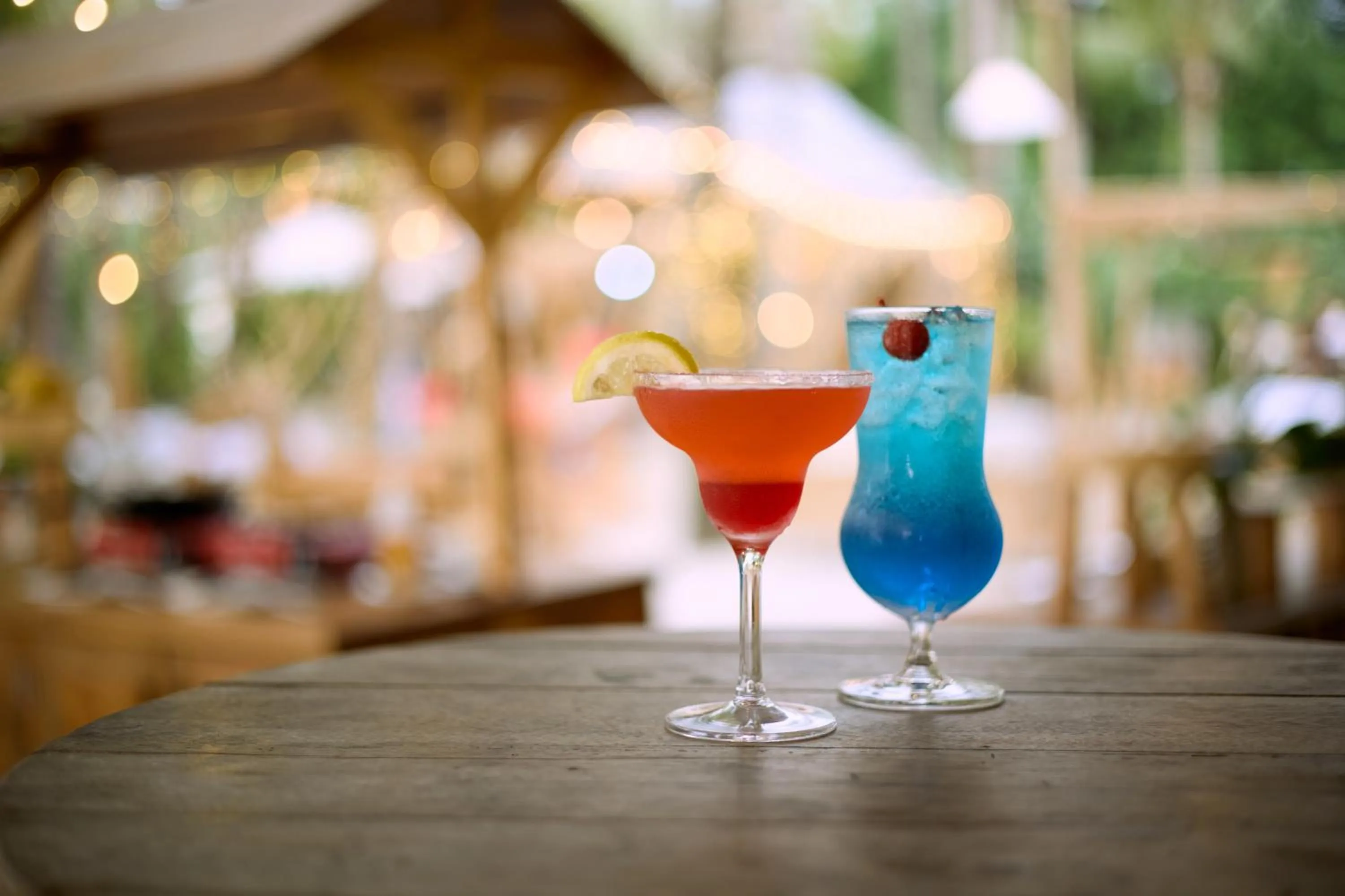 The Survival by Seudam