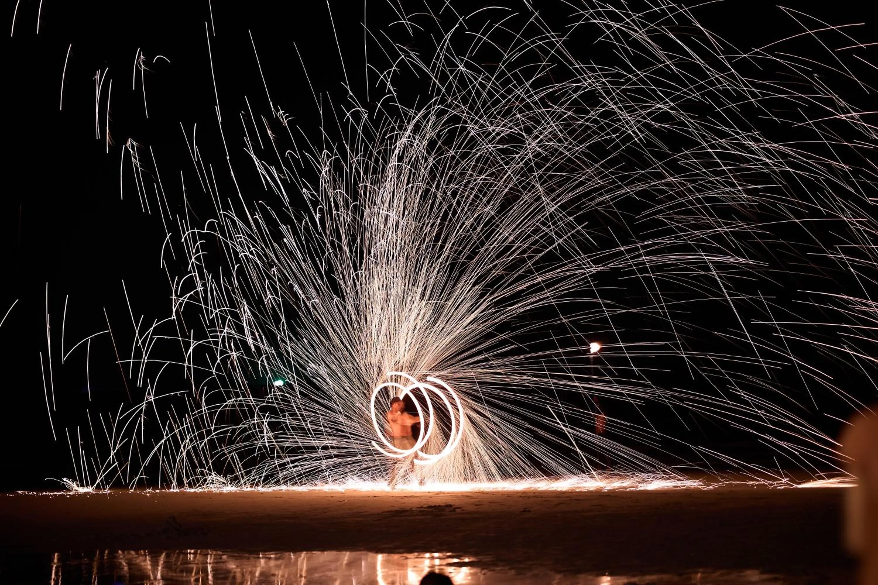 The Survival by Seudam