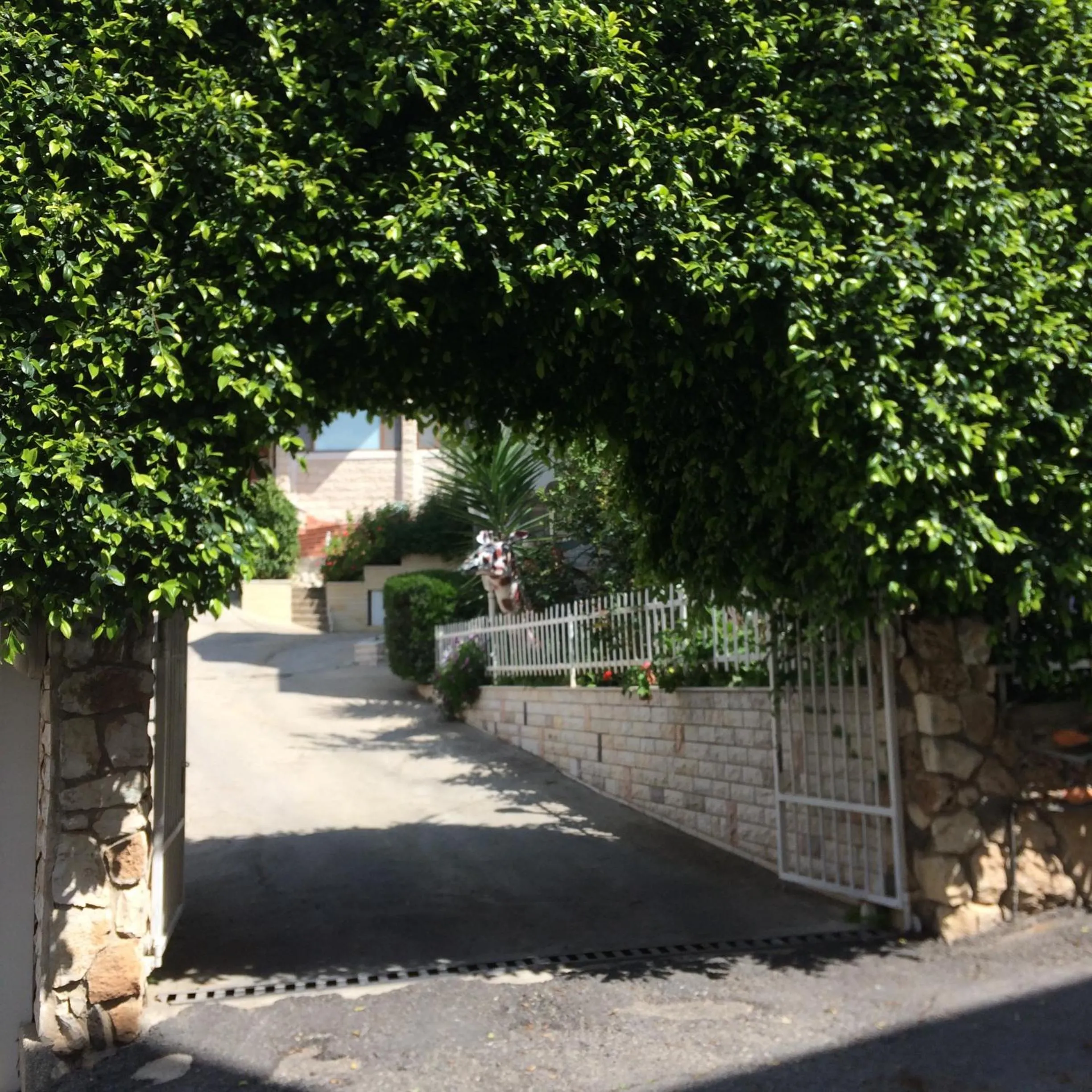 Property building in Miriam Short Term Rental