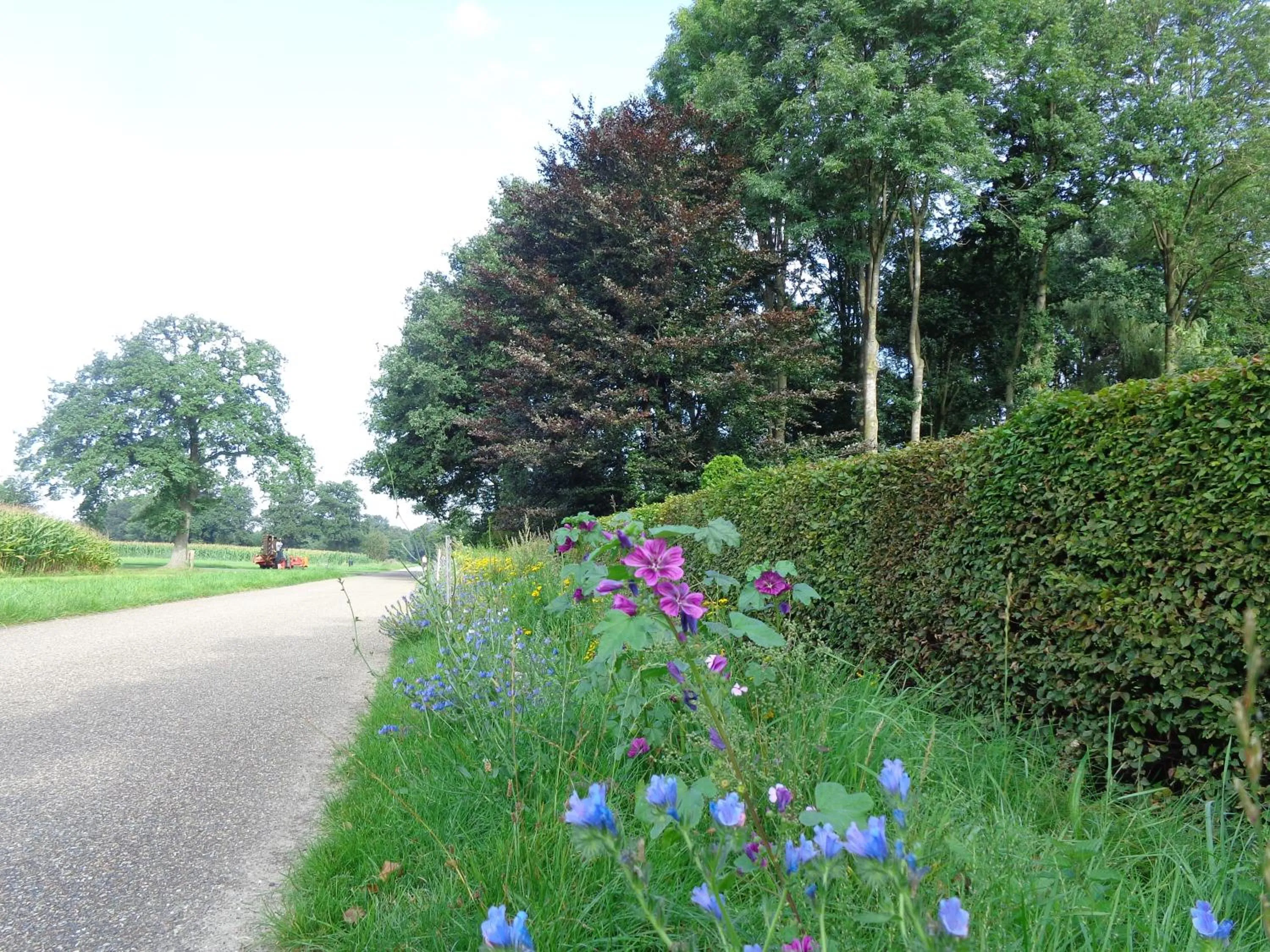 Natural landscape in Thil's Bed and Breakfast
