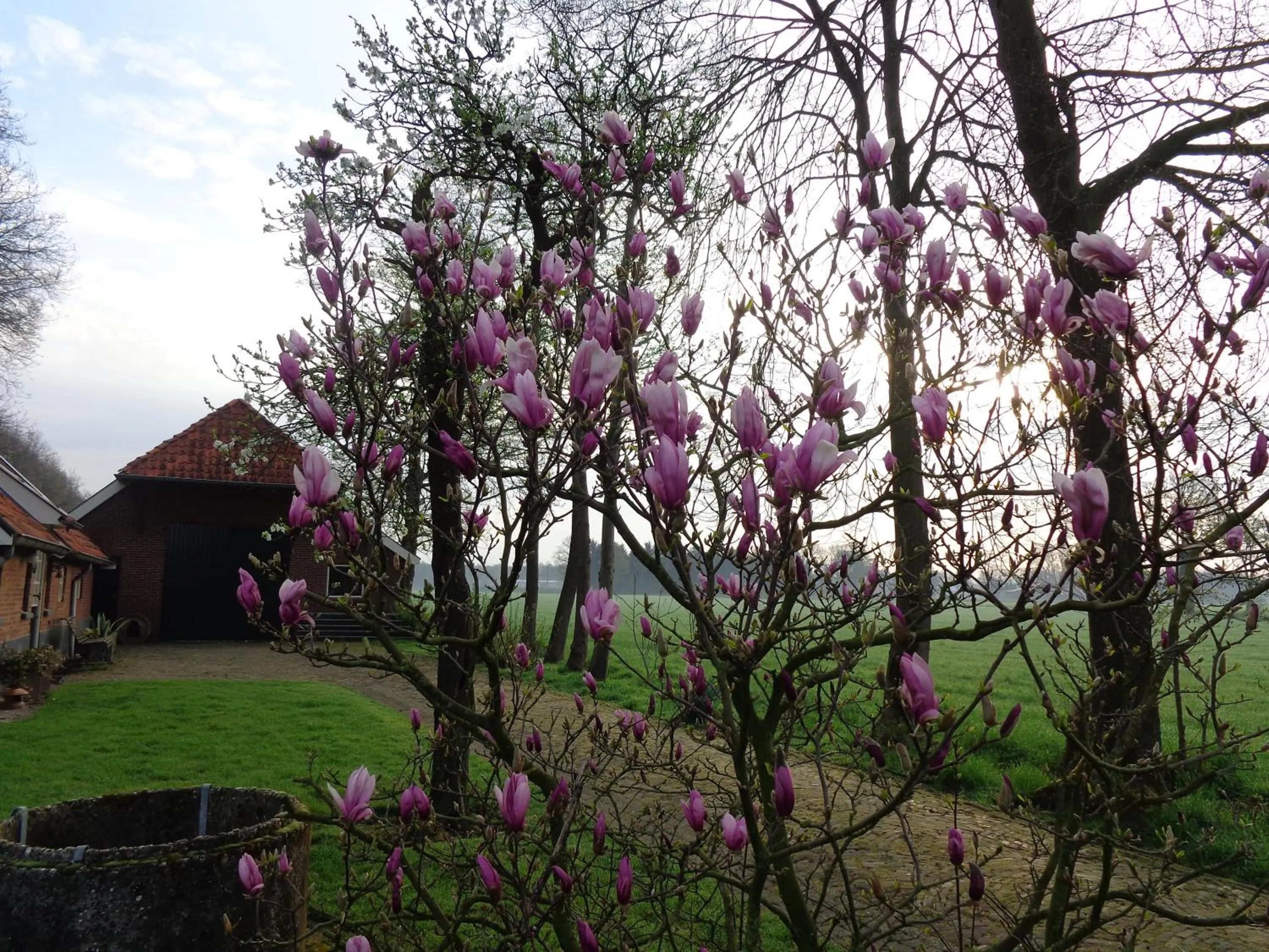 Property building in Thil's Bed and Breakfast