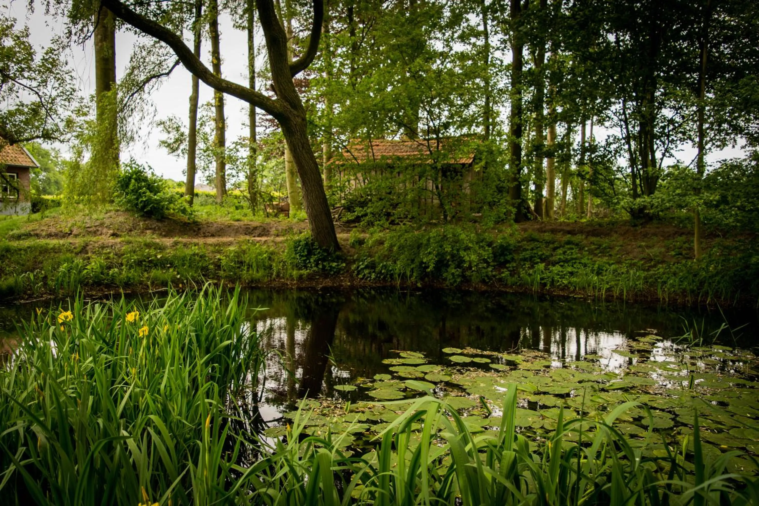 Natural landscape in Thil's Bed and Breakfast