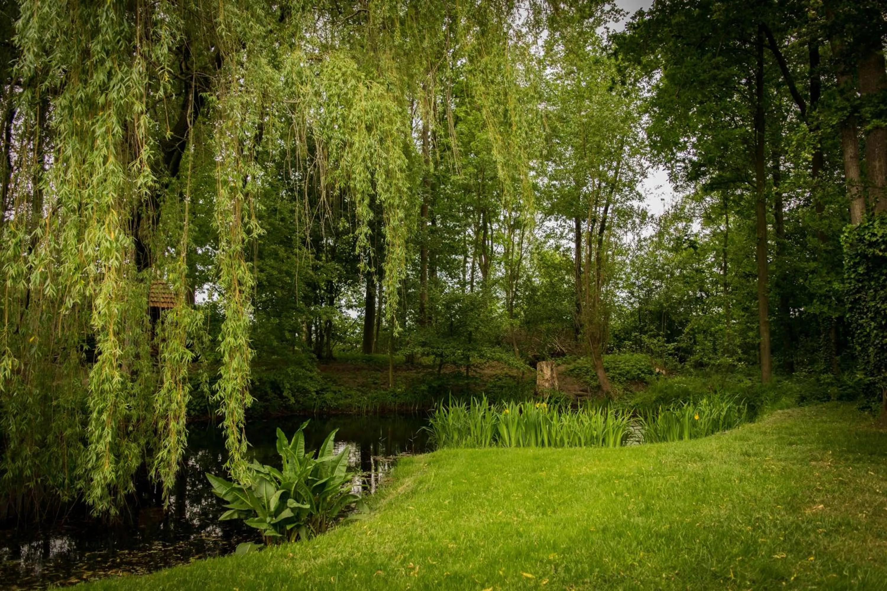Garden in Thil's Bed and Breakfast