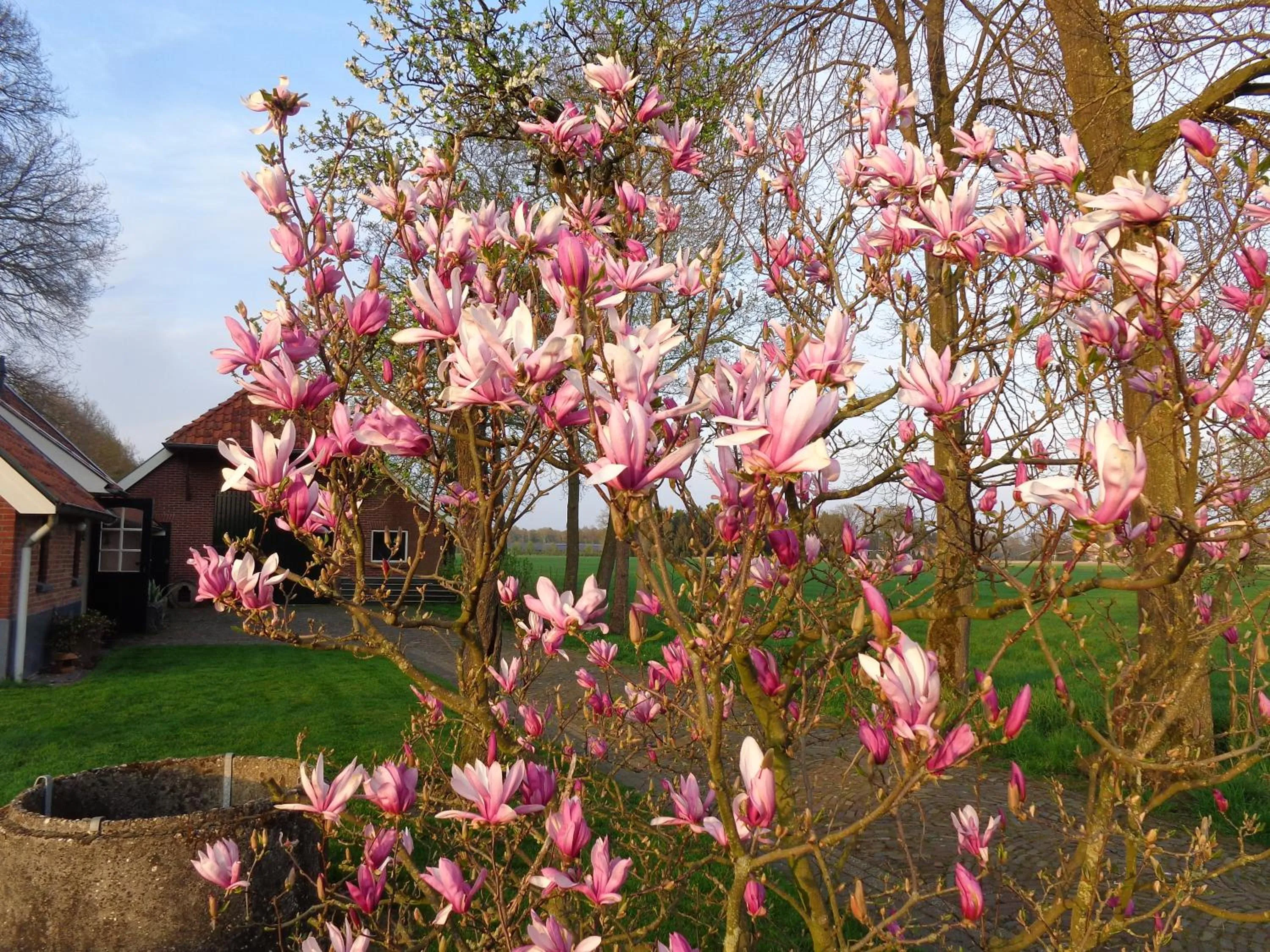 Thil's Bed and Breakfast