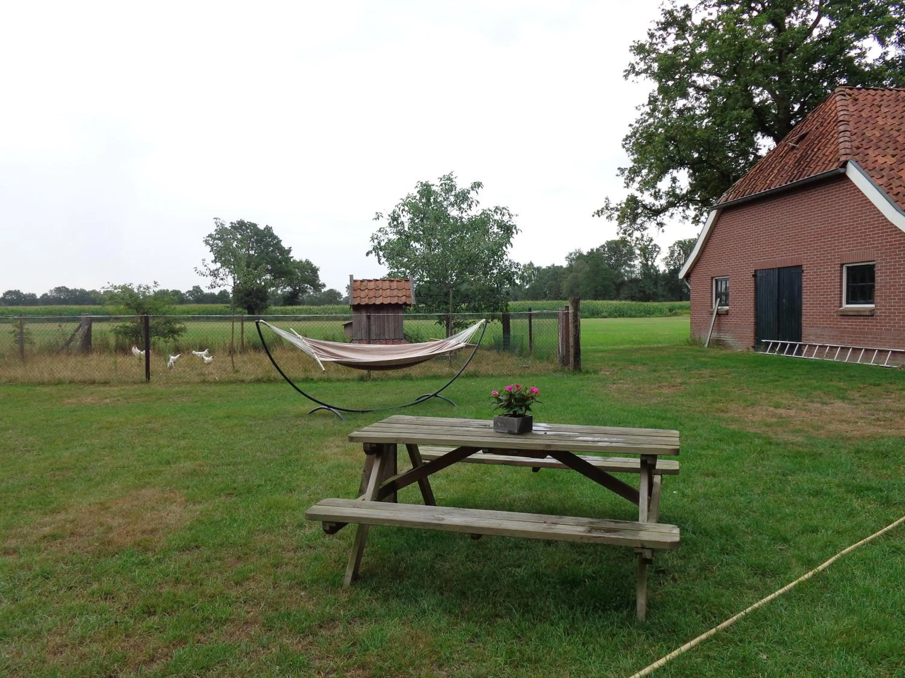 Garden in Thil's Bed and Breakfast
