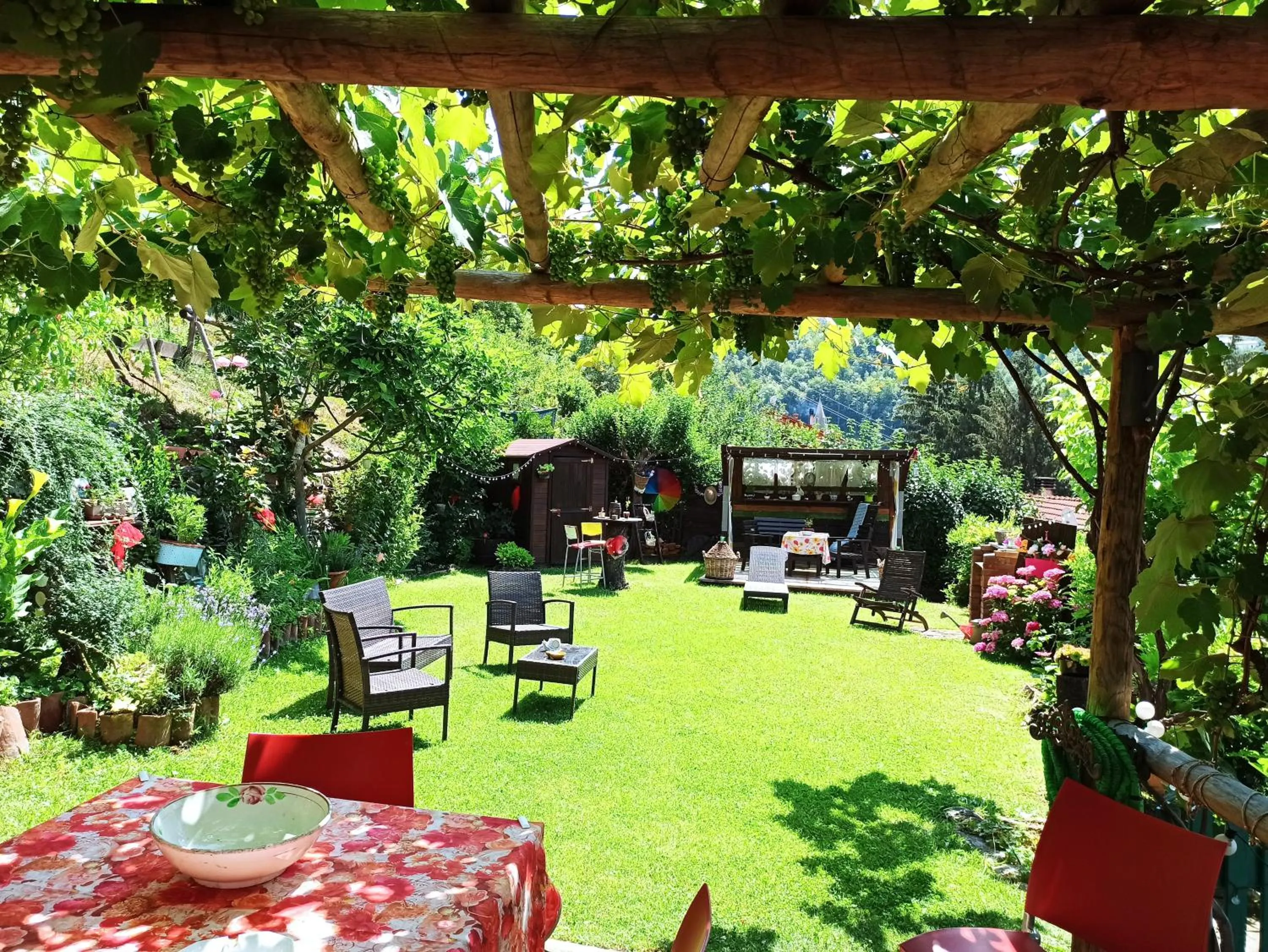 Garden in B&B Va...lentina