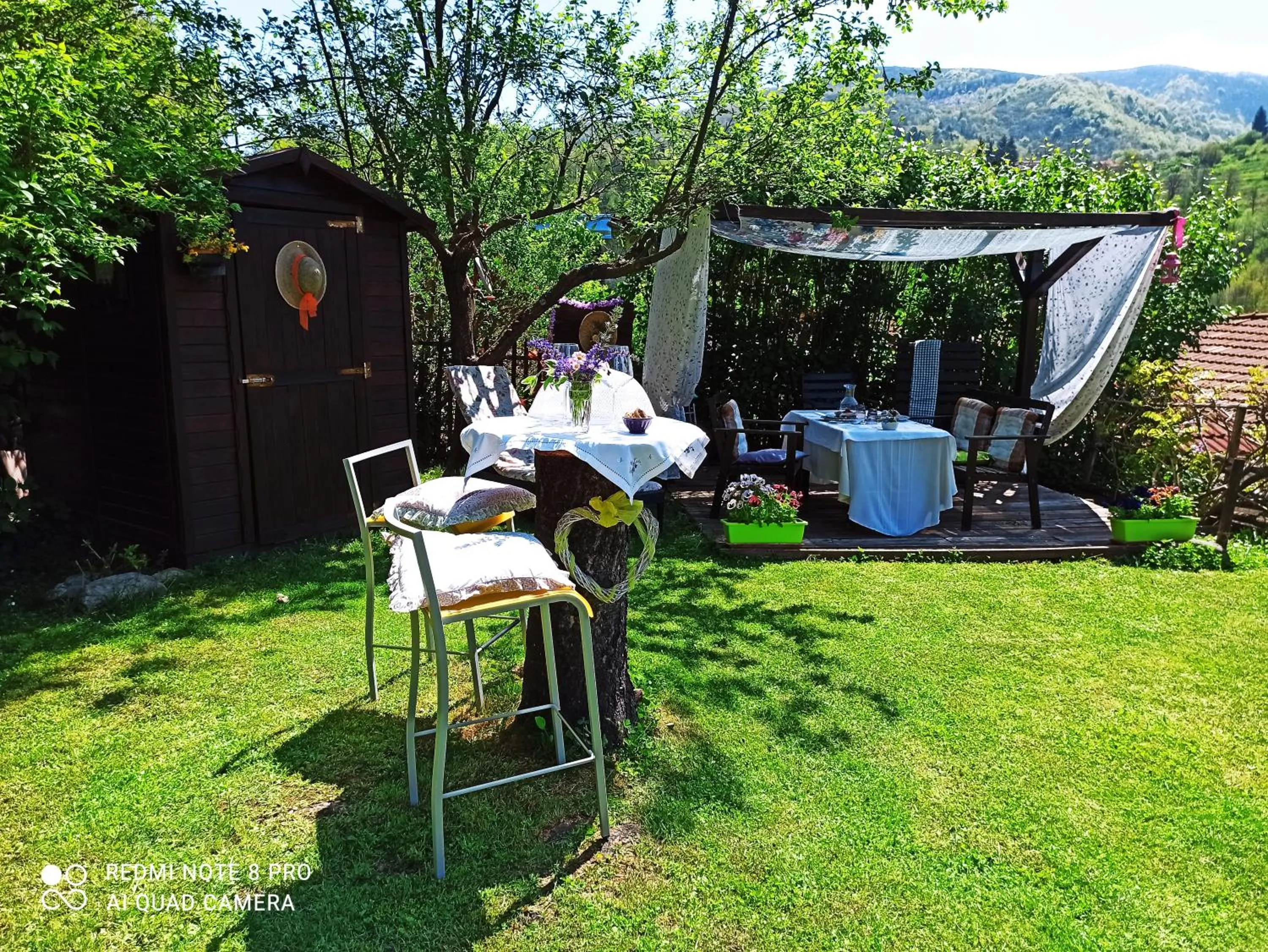 Garden in B&B Va...lentina