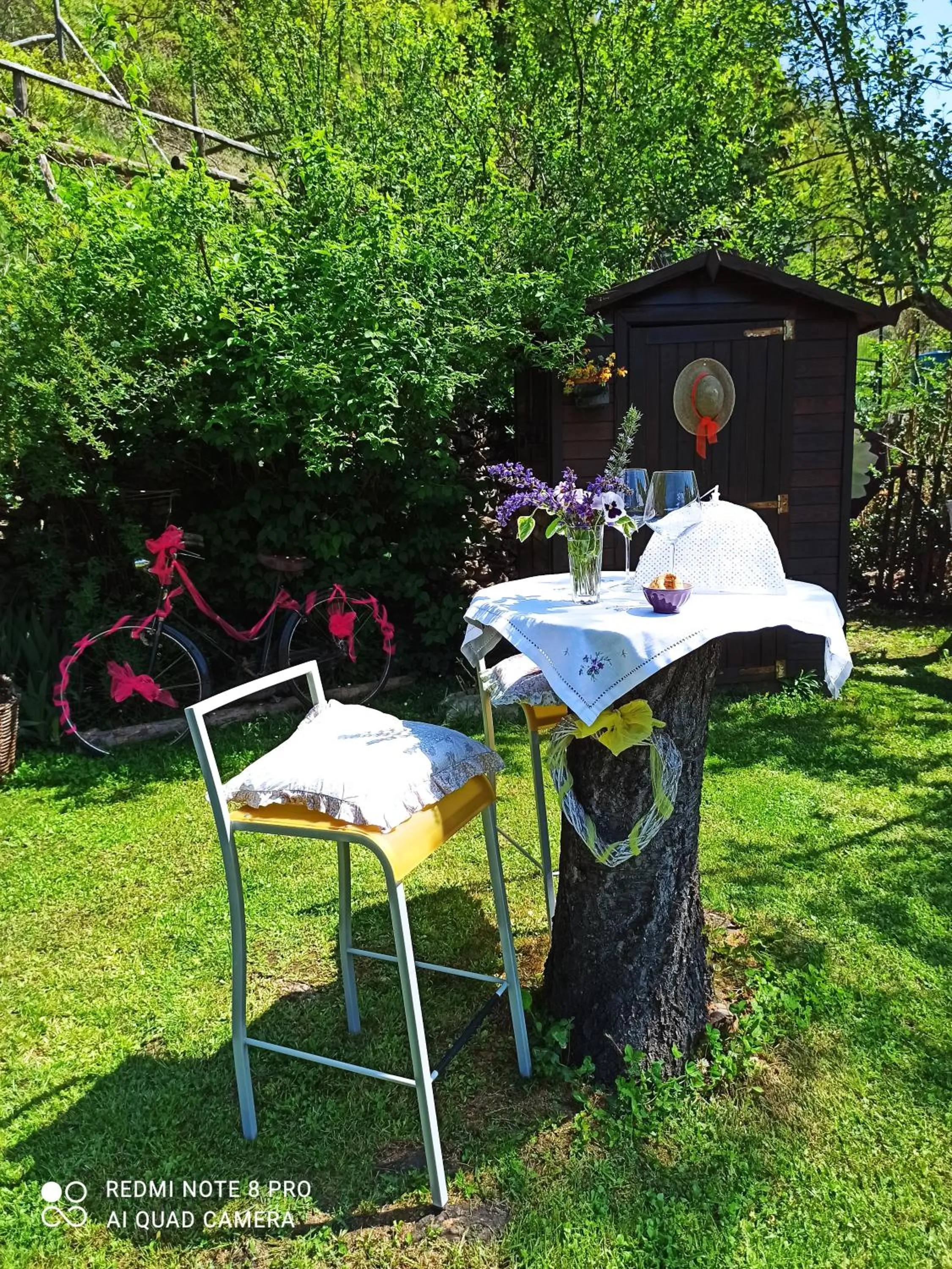 Garden in B&B Va...lentina