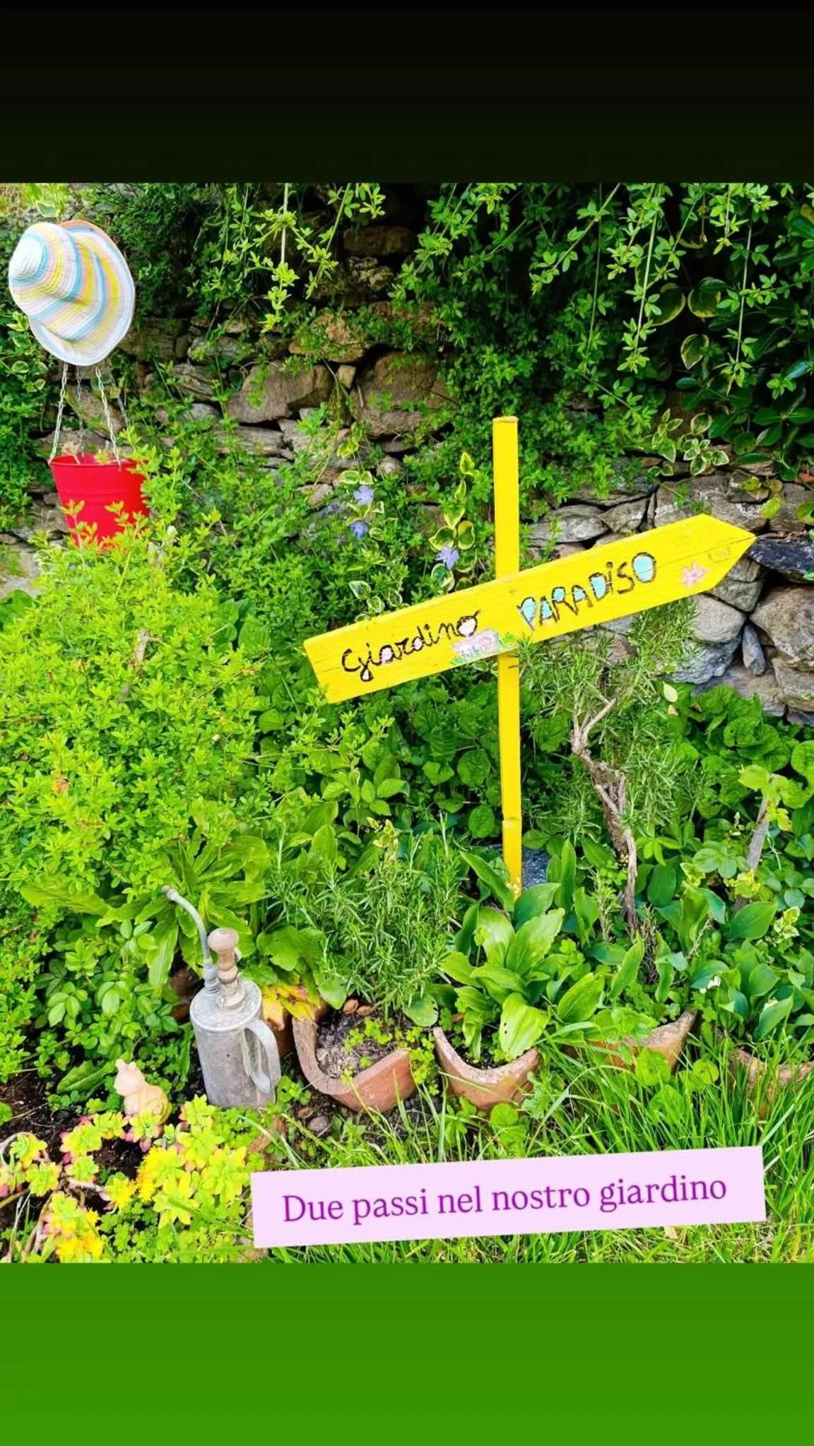 Garden in B&B Va...lentina