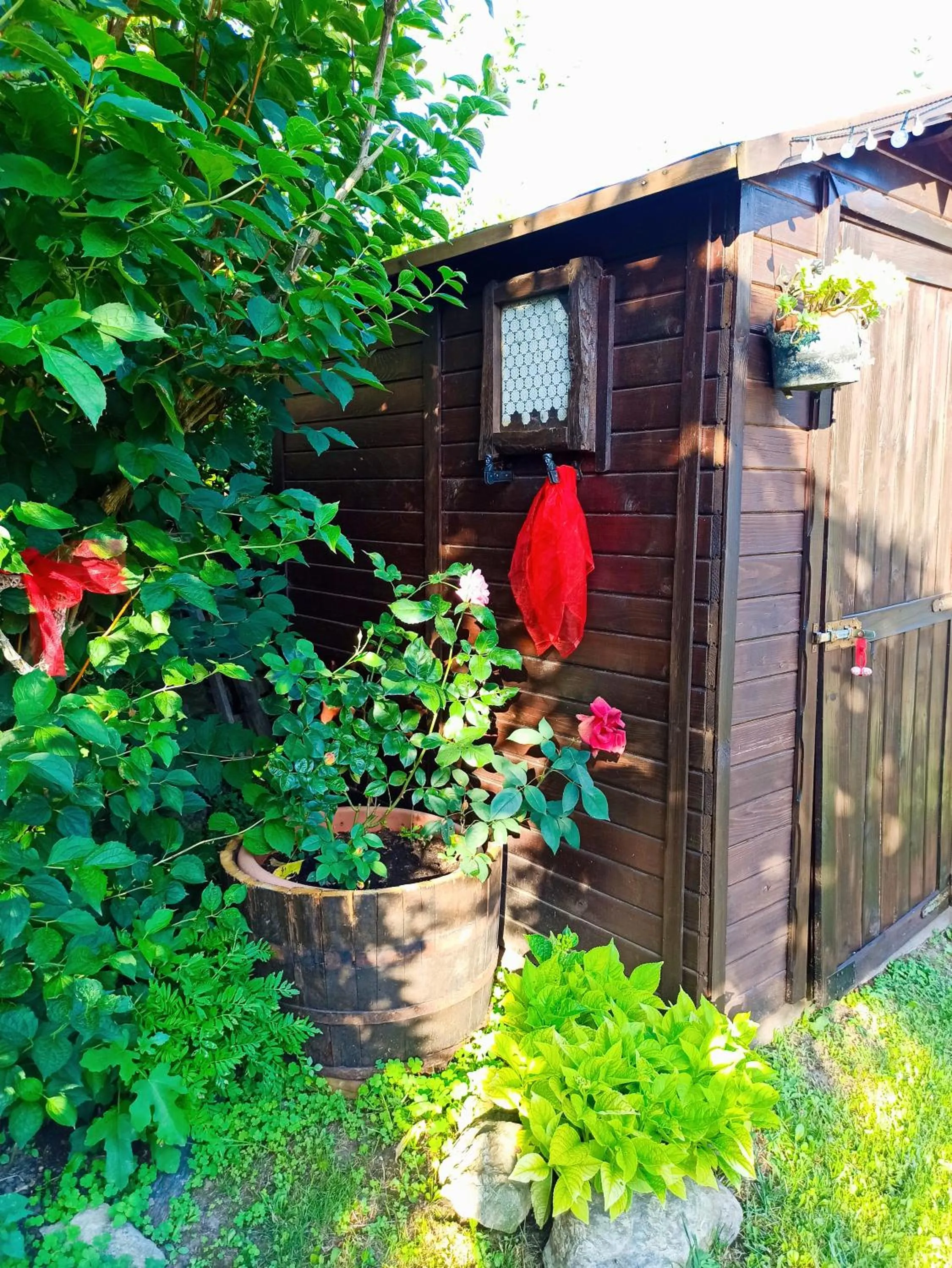 Garden view in B&B Va...lentina