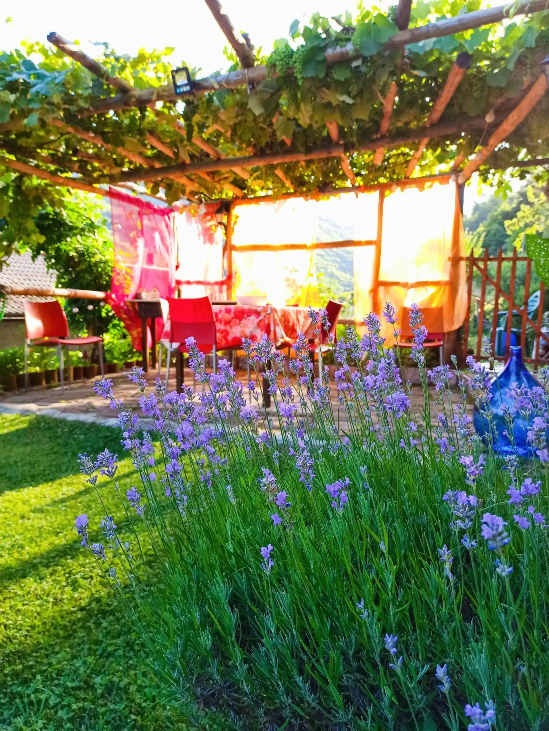 Day in B&B Va...lentina