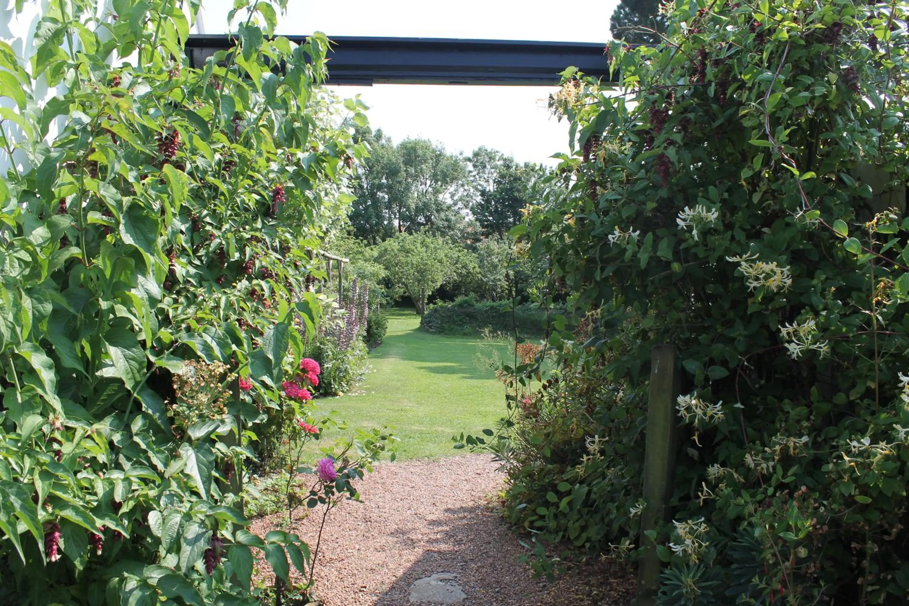 Garden view in The Linhay Eastleigh