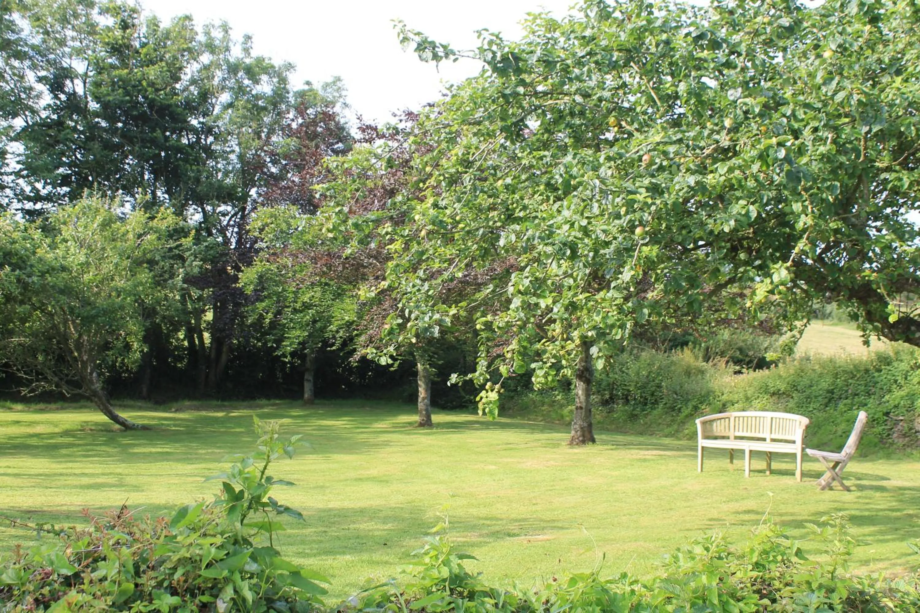 Garden in The Linhay Eastleigh