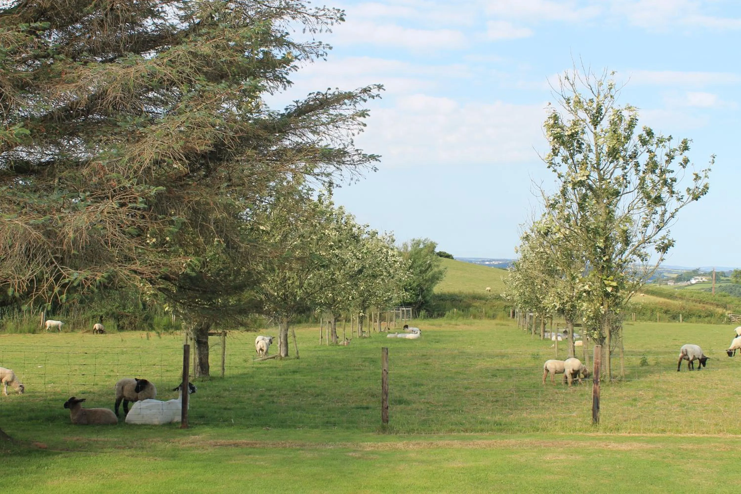 View (from property/room) in The Linhay Eastleigh