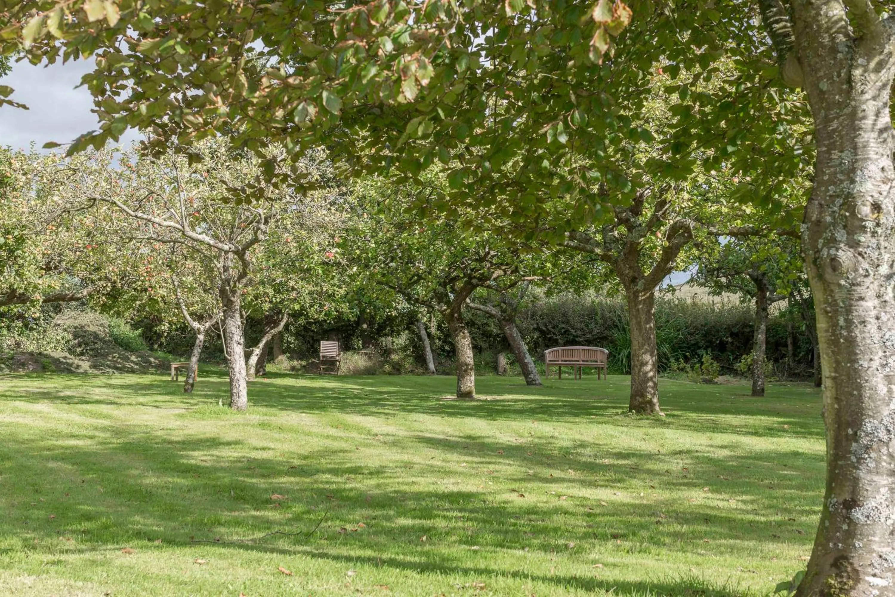 Garden in The Linhay Eastleigh