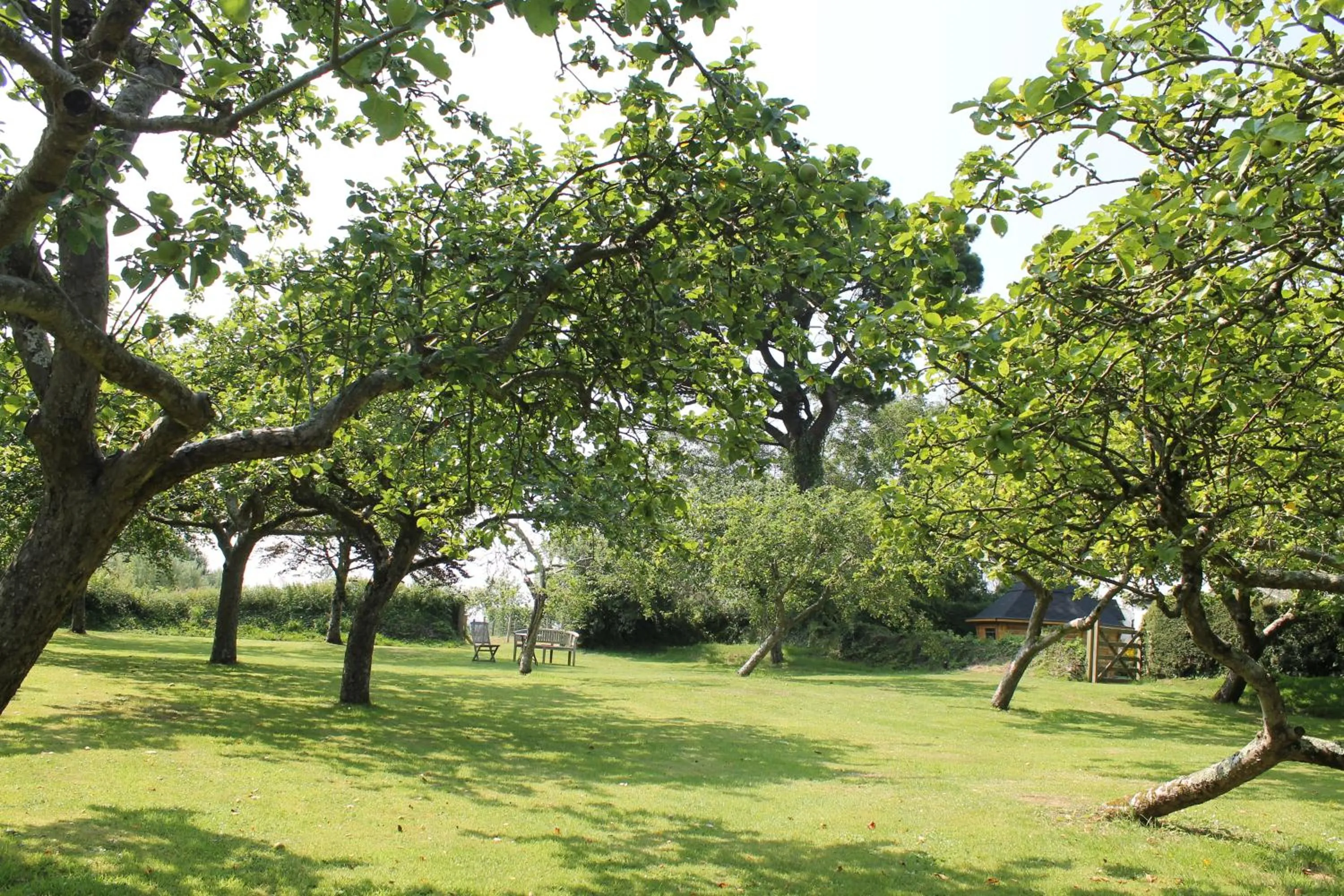 Garden in The Linhay Eastleigh