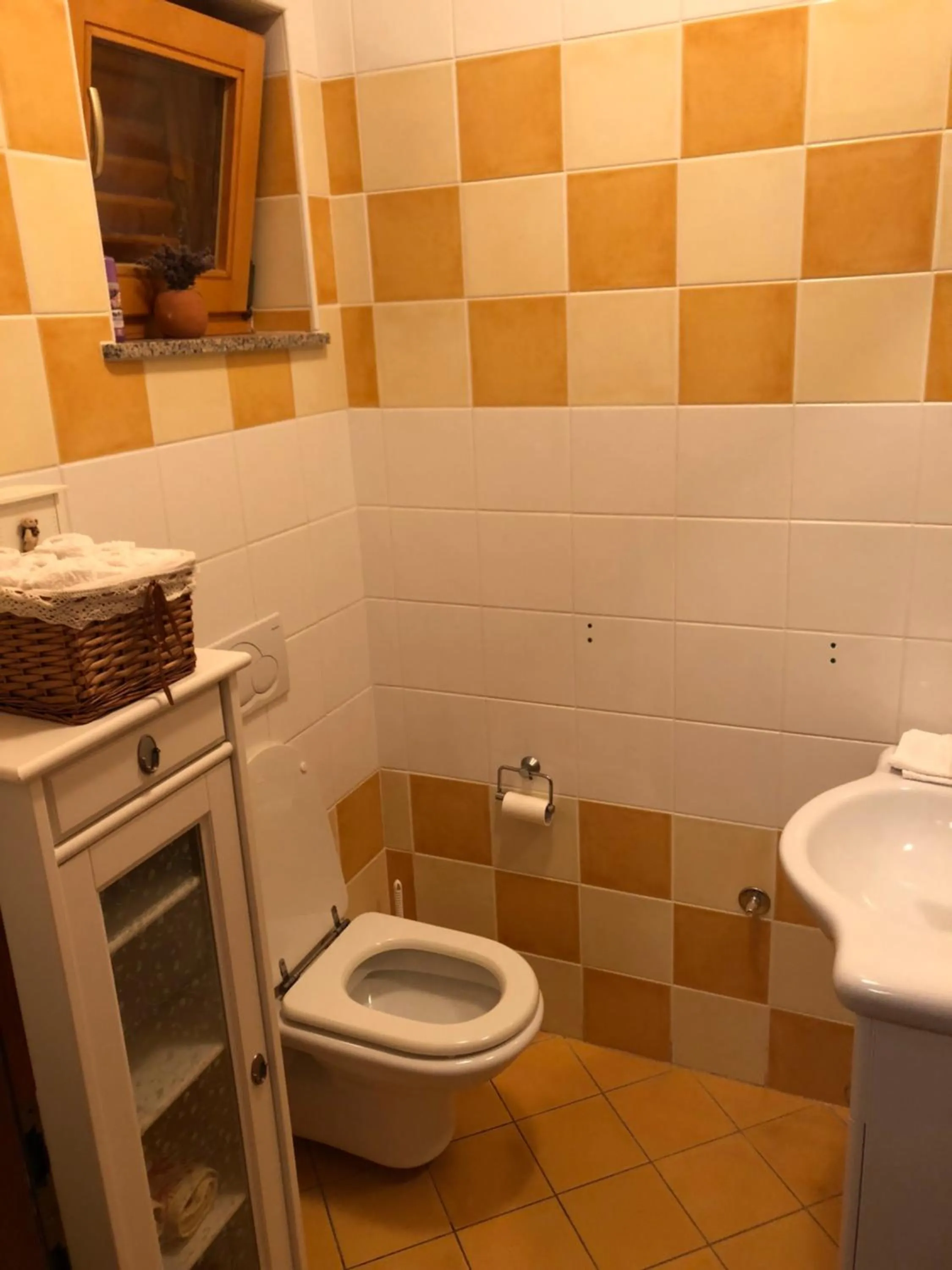 Toilet in Apartments Smiljanic