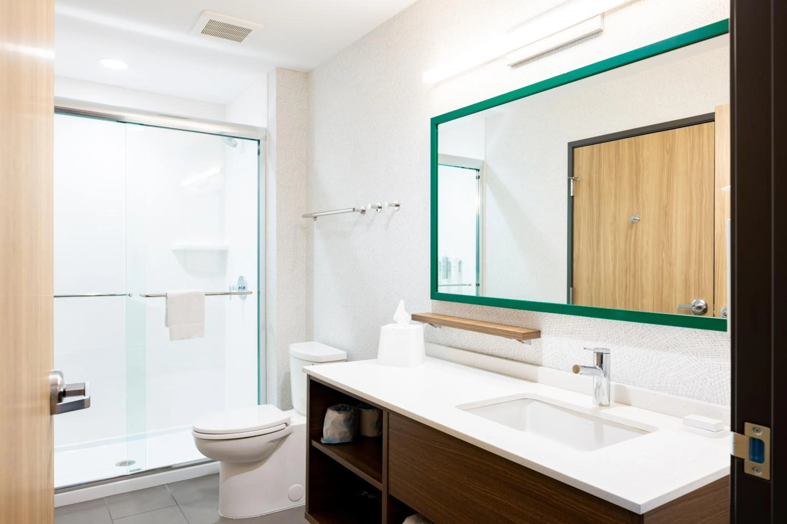 Bathroom in Home2 Suites By Hilton Kalamazoo Southeast