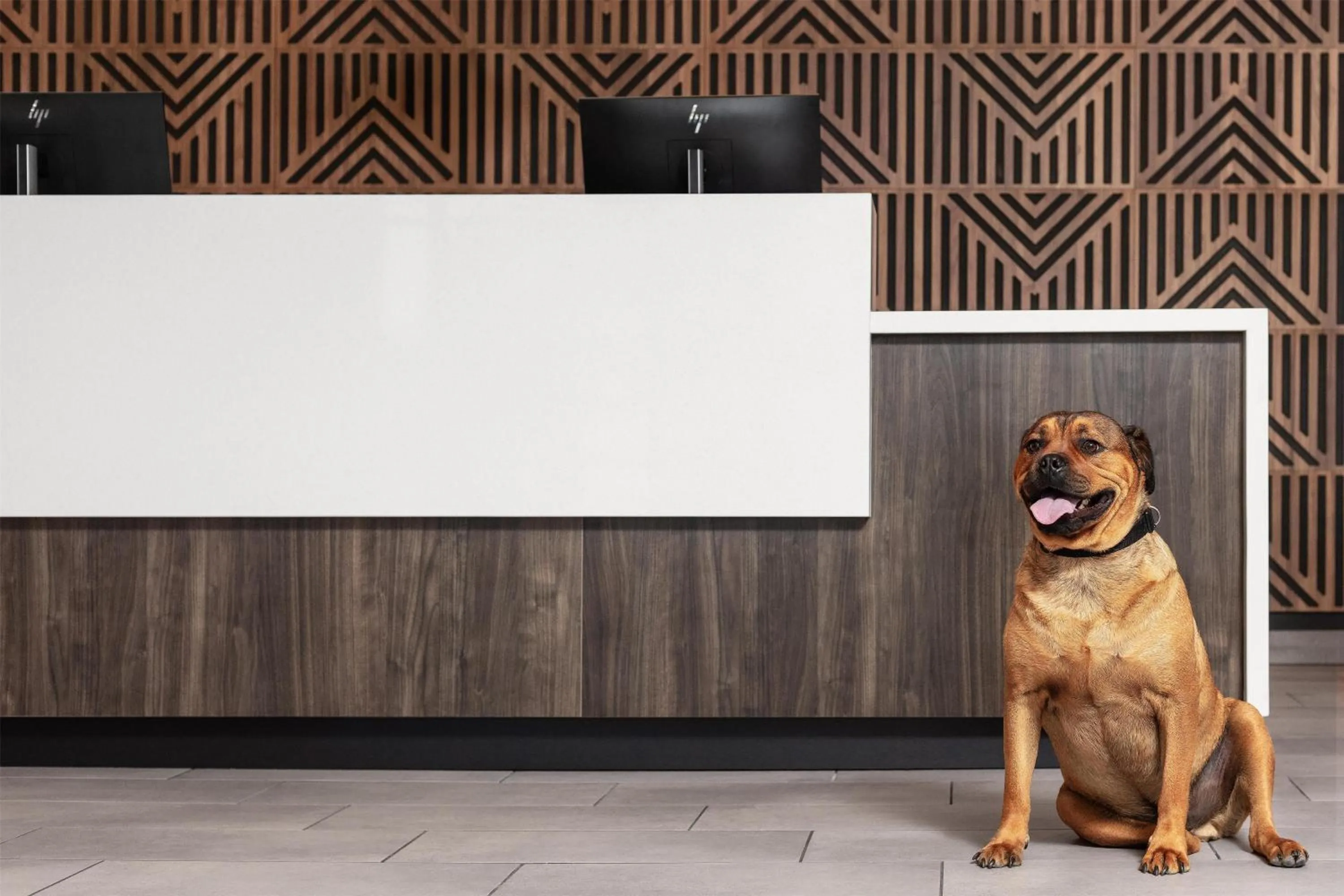 Lobby or reception in Home2 Suites By Hilton Flagstaff