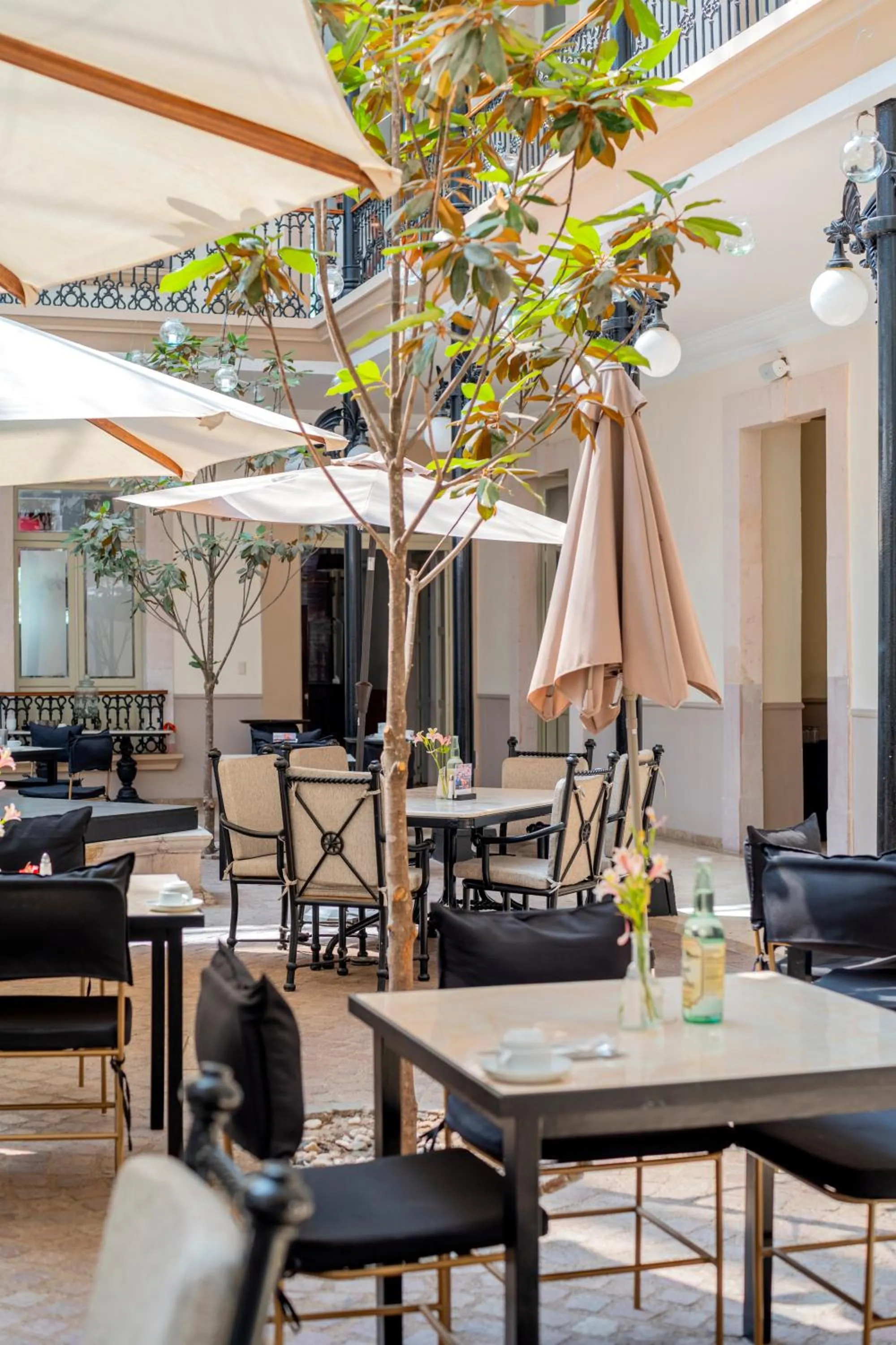 Restaurant/places to eat in Hotel Alameda Grand