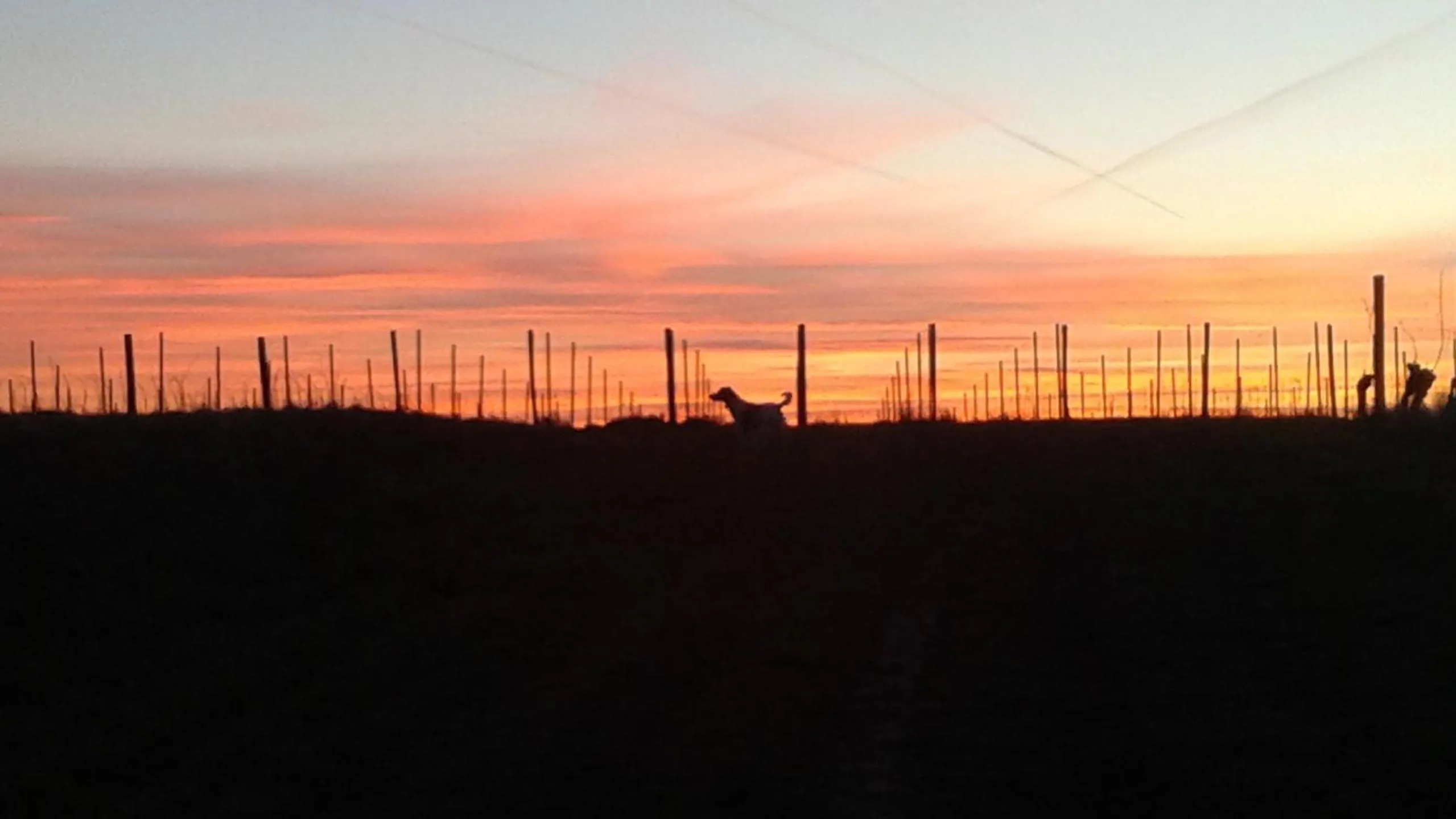 Natural landscape in Viella Vacances