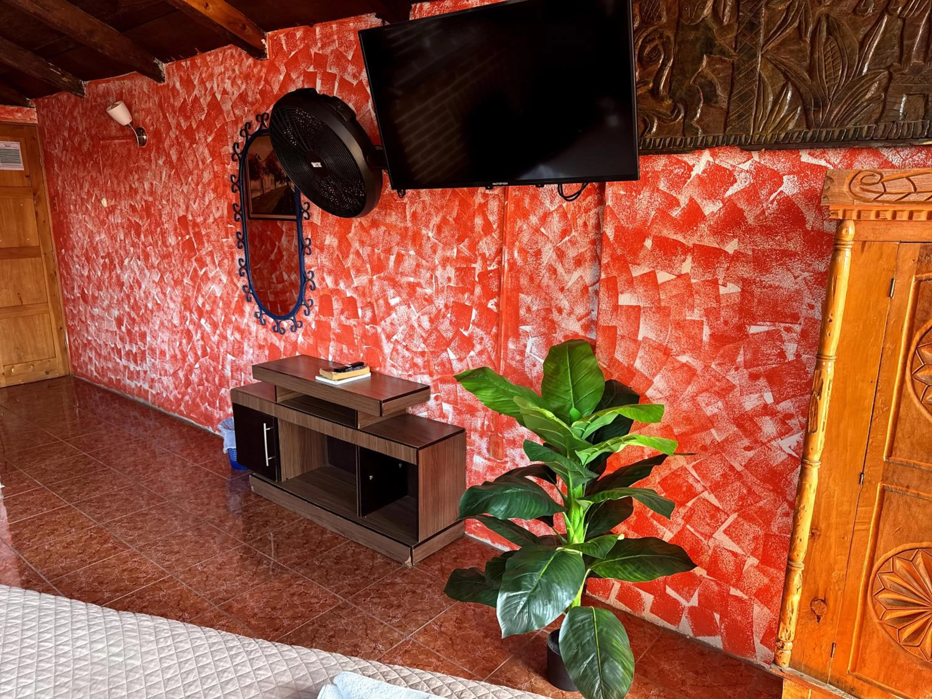 TV and multimedia in Hotel Hanna Resort