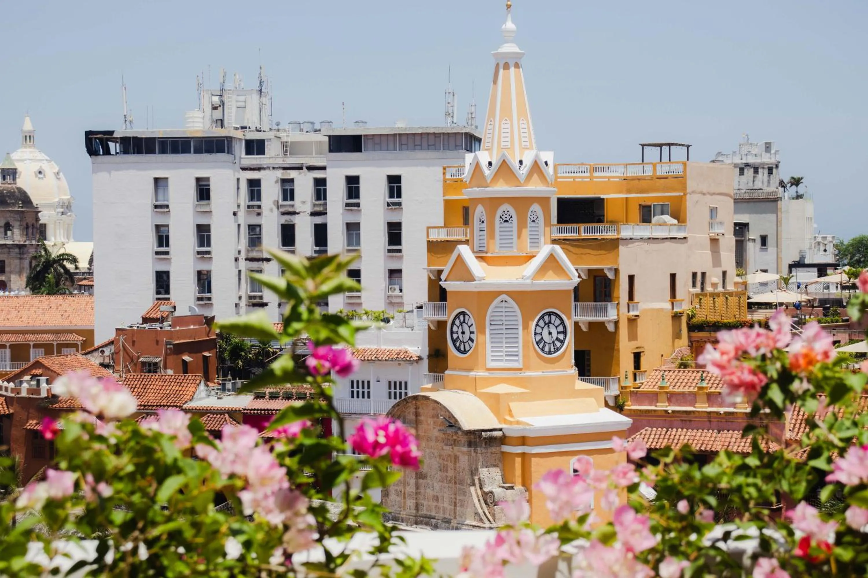 View (from property/room) in Terrazas Hotel Boutique