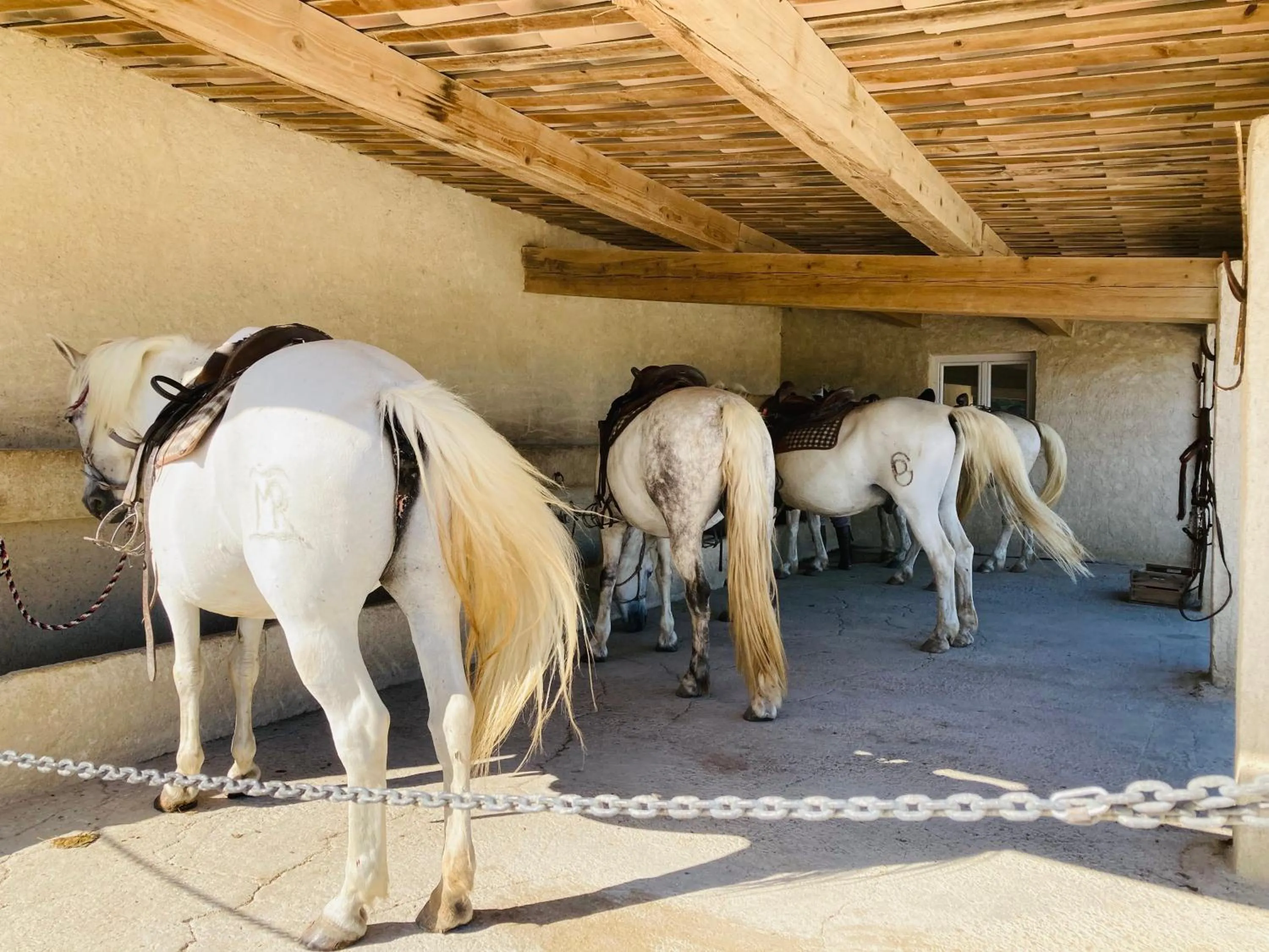 Activities in Manade des Baumelles