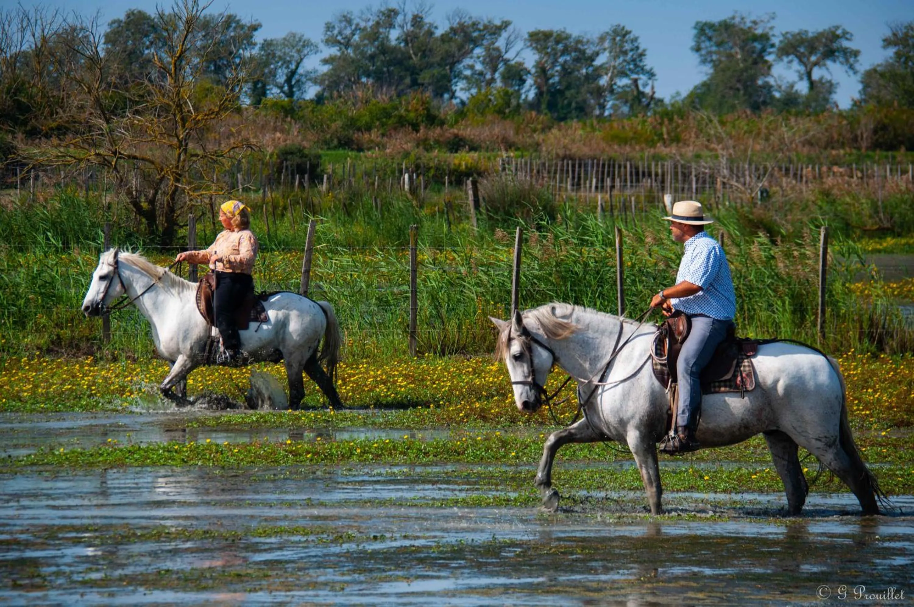 Activities in Manade des Baumelles