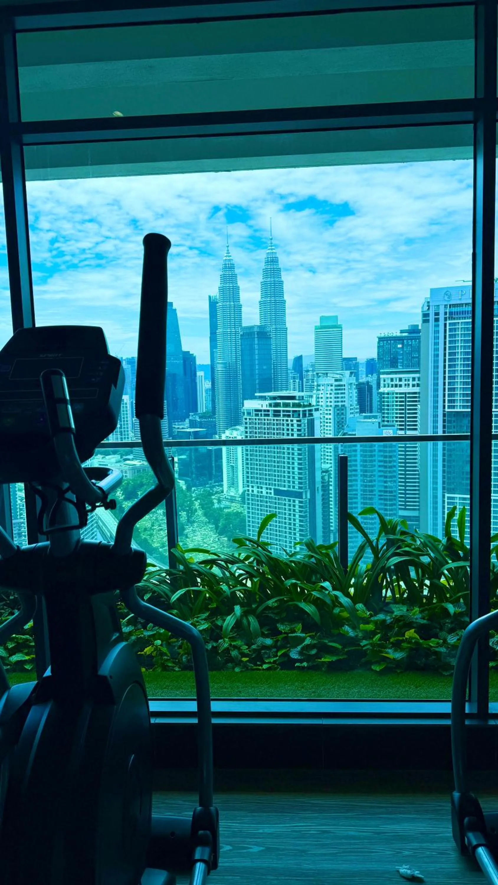 Fitness centre/facilities in The Colony By Infinitum Flixses