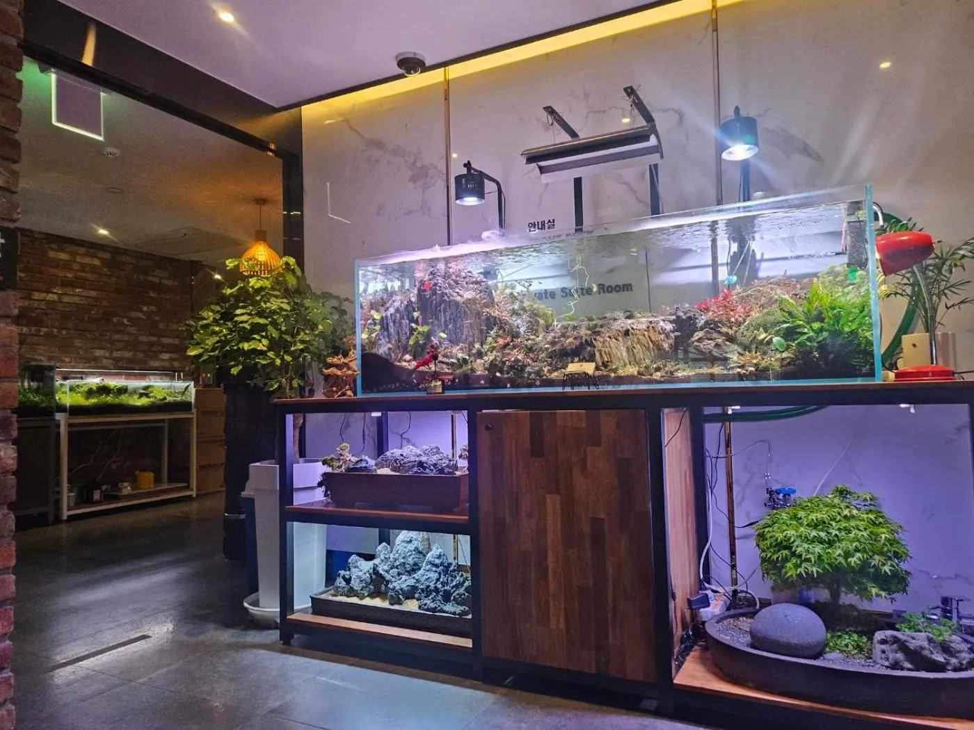 Awesome Boutique Hotel