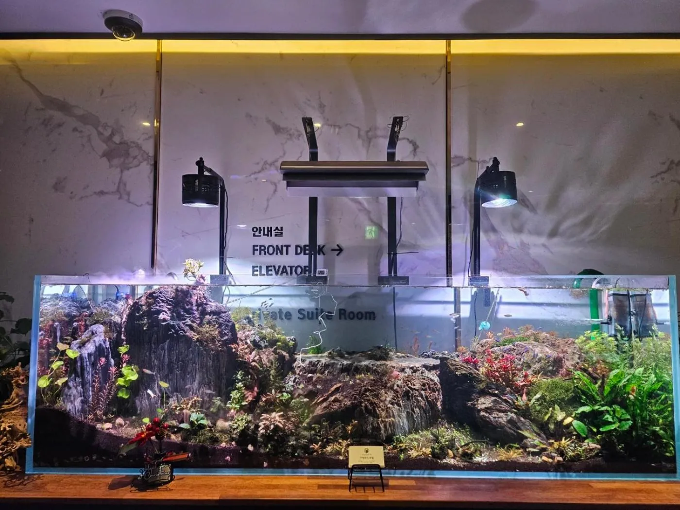 Property building in Awesome Boutique Hotel