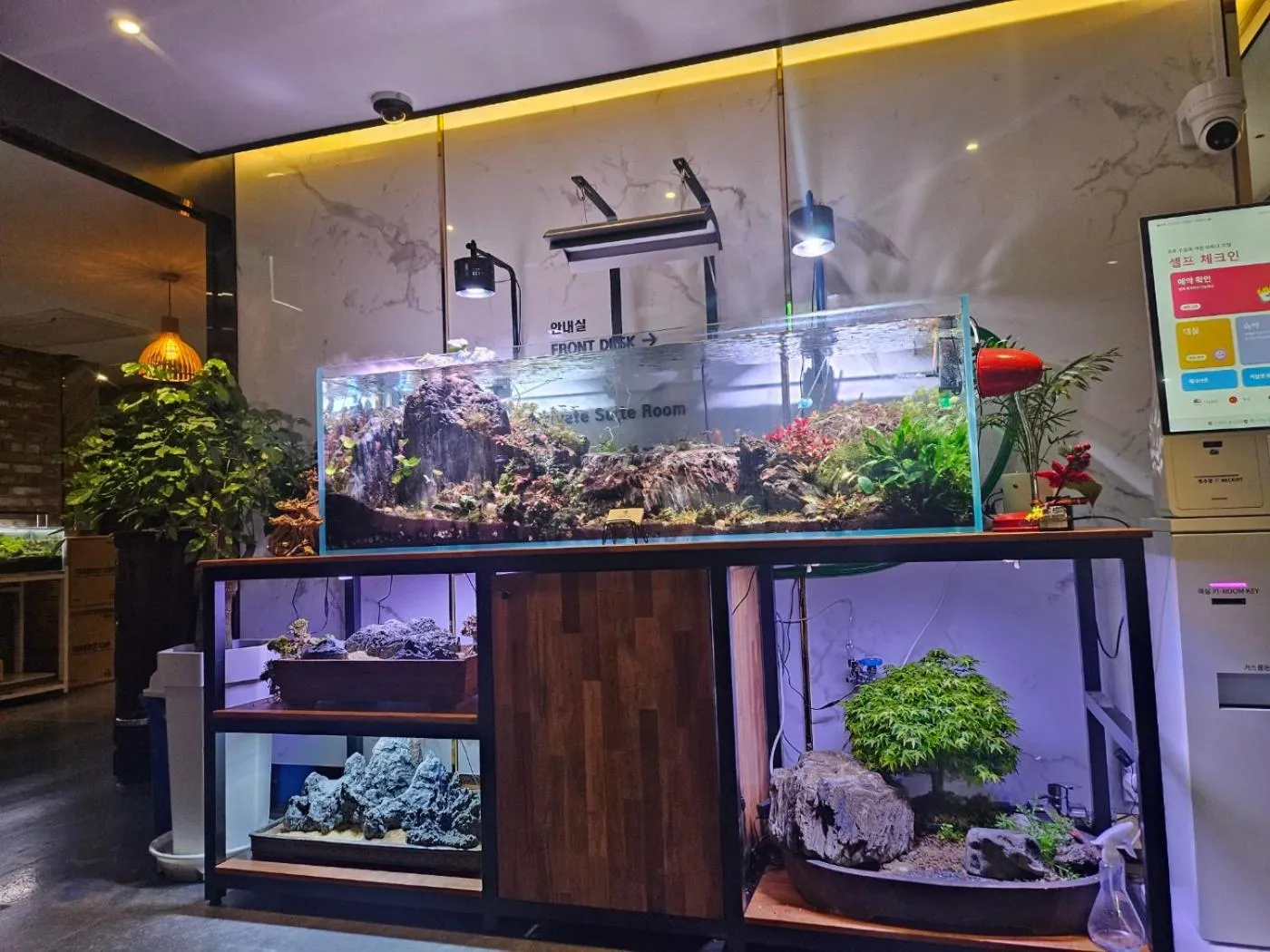 Awesome Boutique Hotel