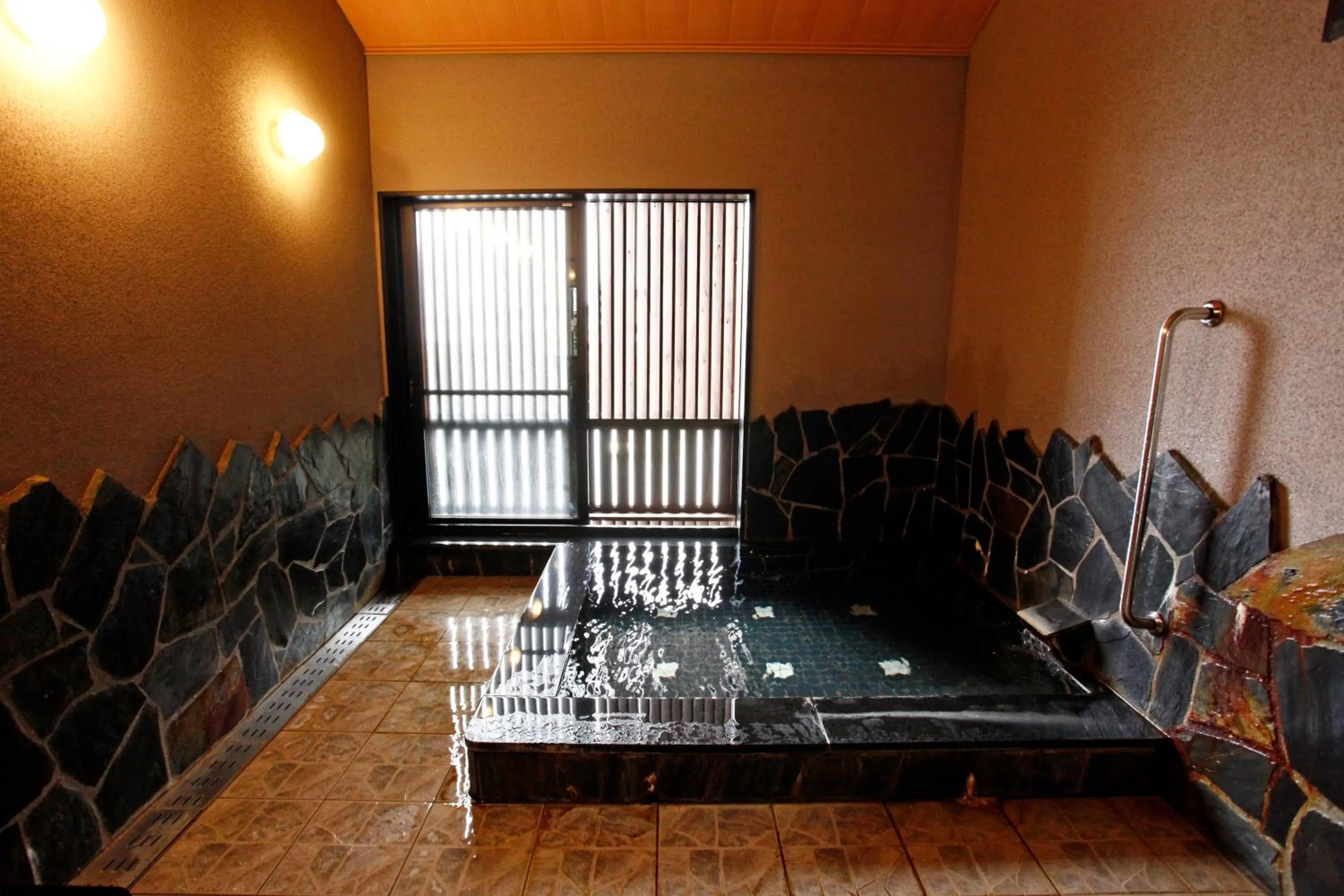Hot Spring Bath in Hotel Shosenkaku Romankan