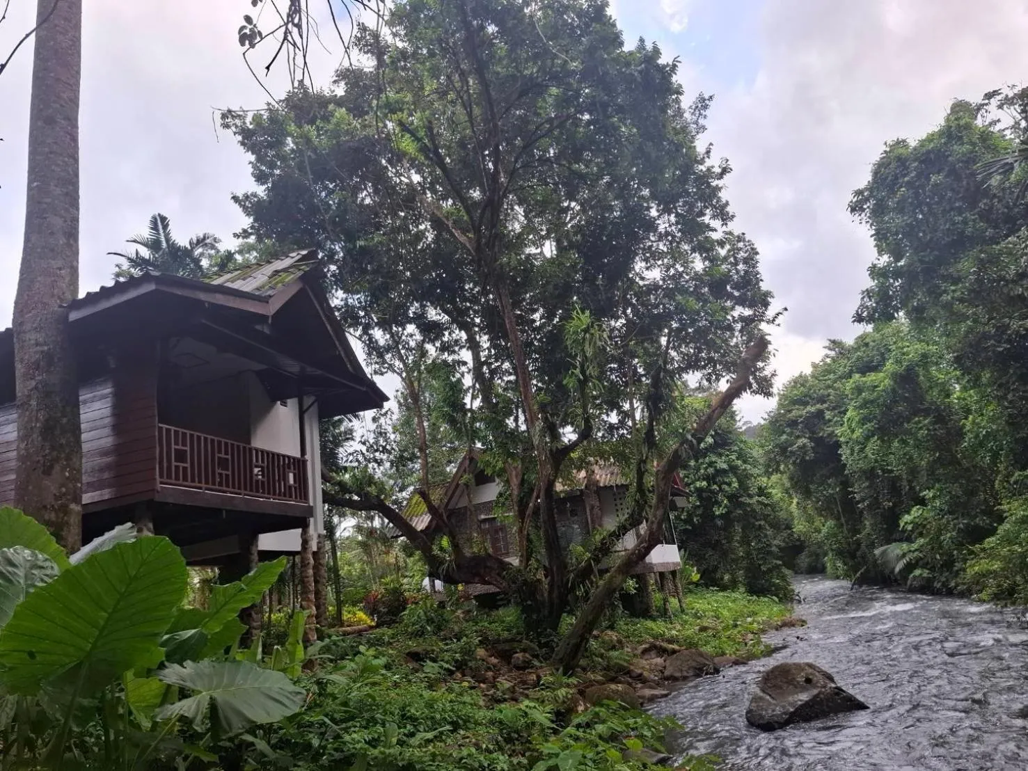 Tree Tops River Huts