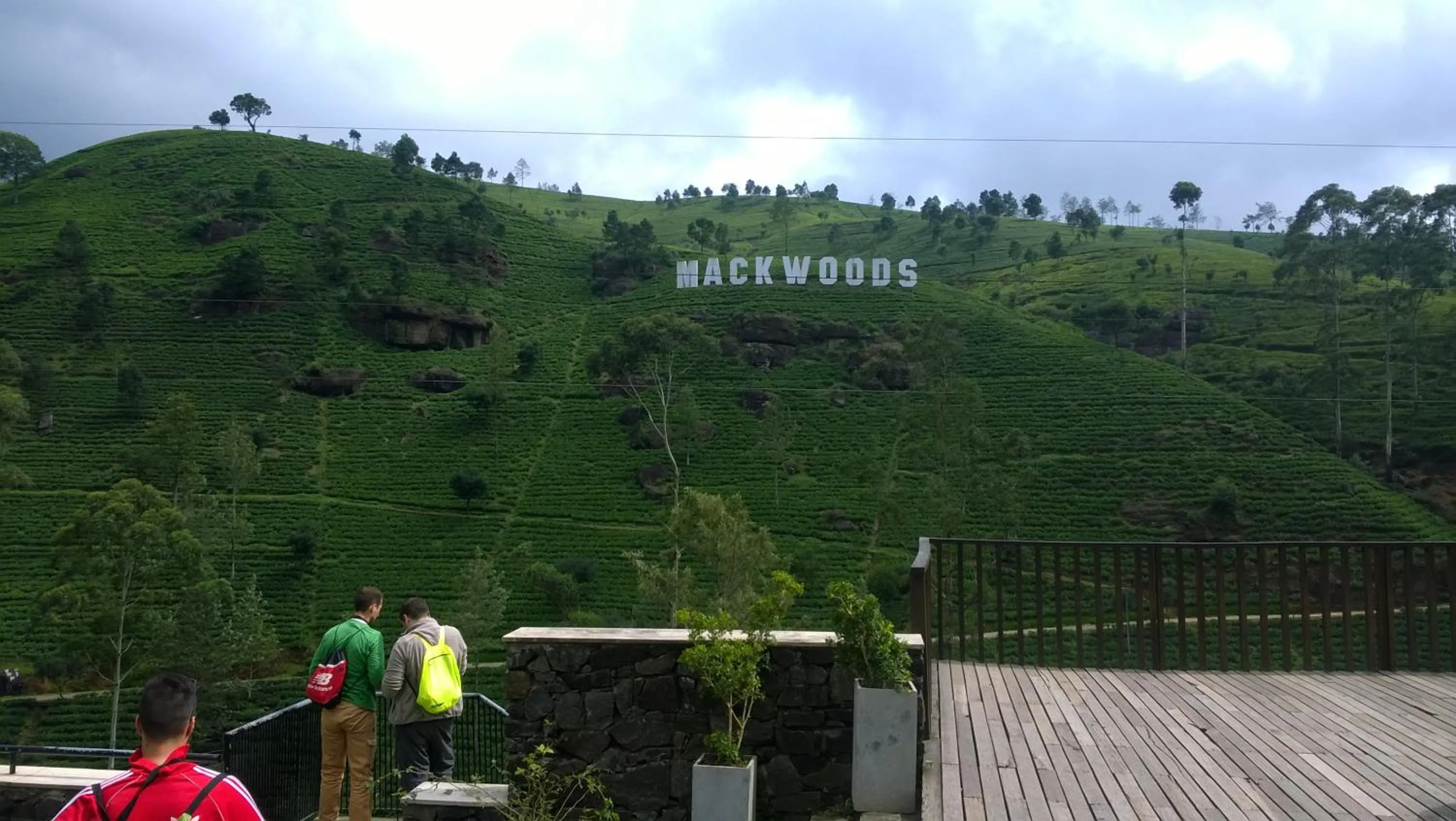 Other in Blue Moon Hotel