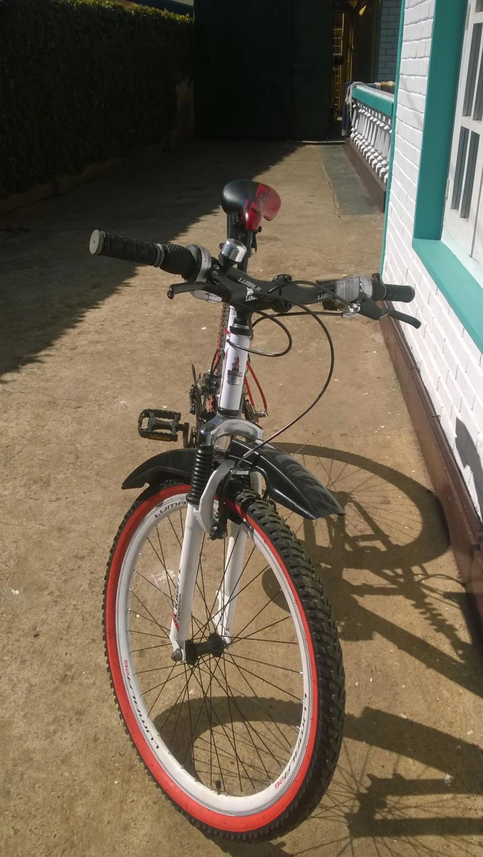 Cycling in Blue Moon Hotel