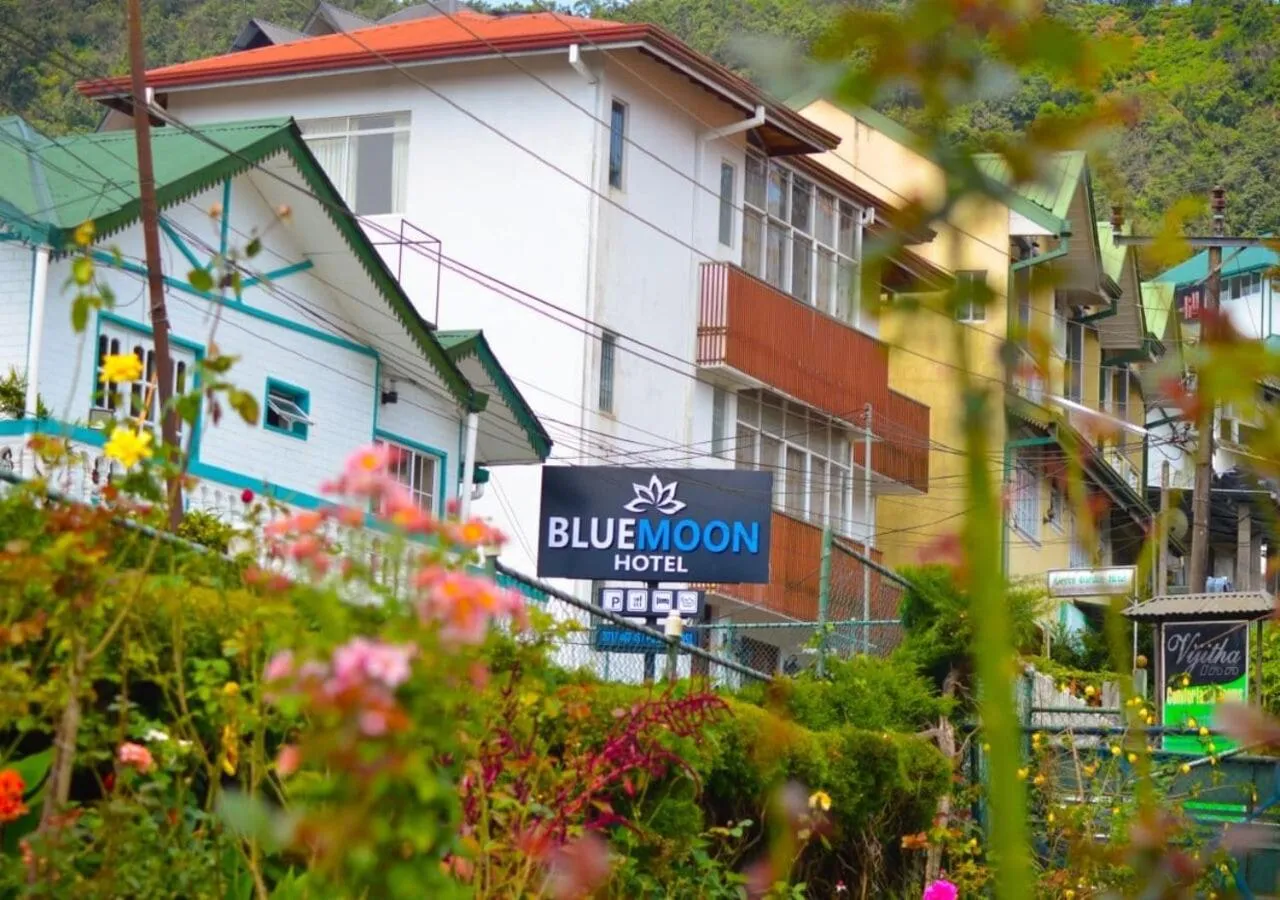 Property logo or sign in Blue Moon Hotel