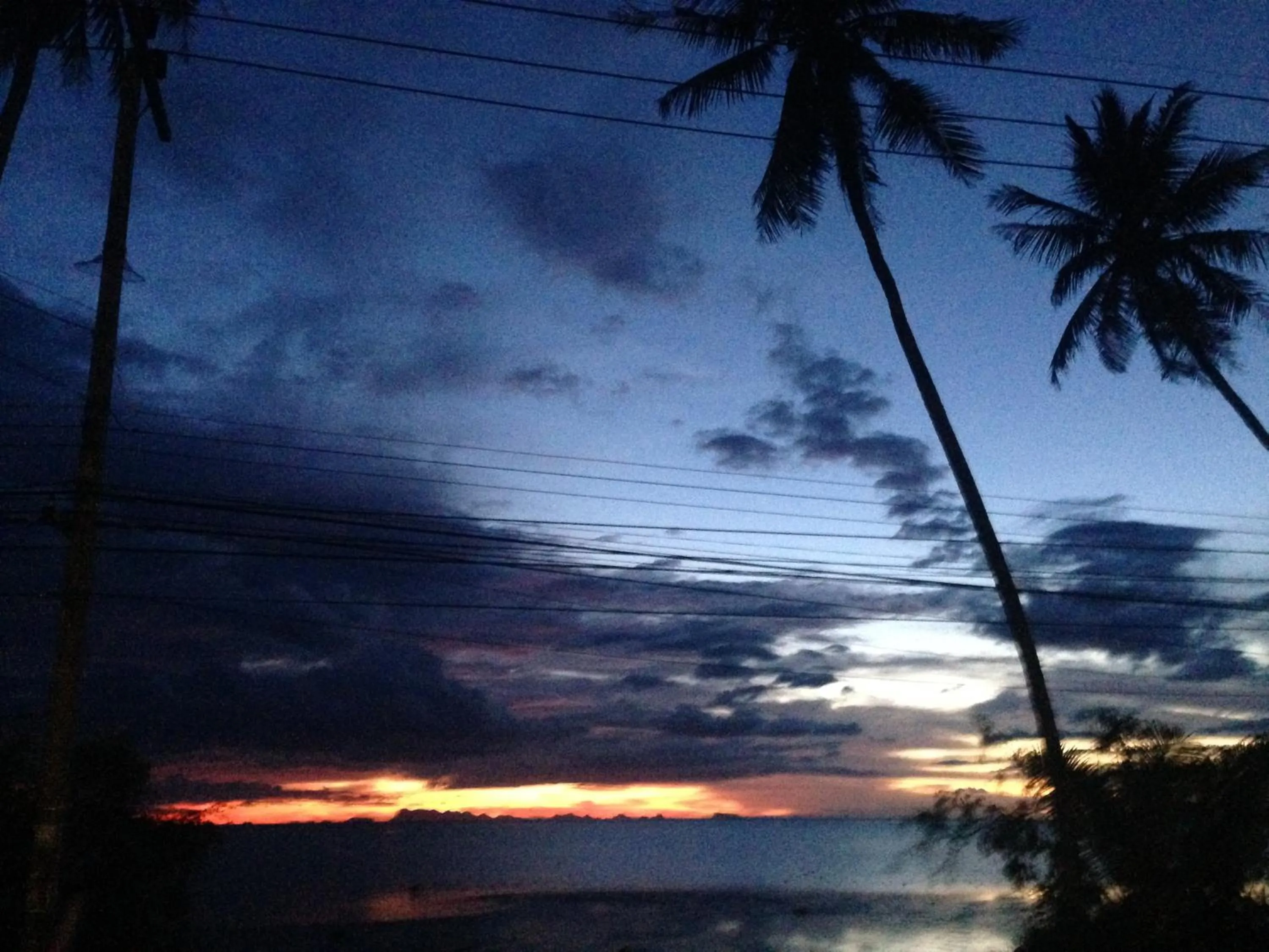 Natural landscape in The Ford SunSet Beach Resort