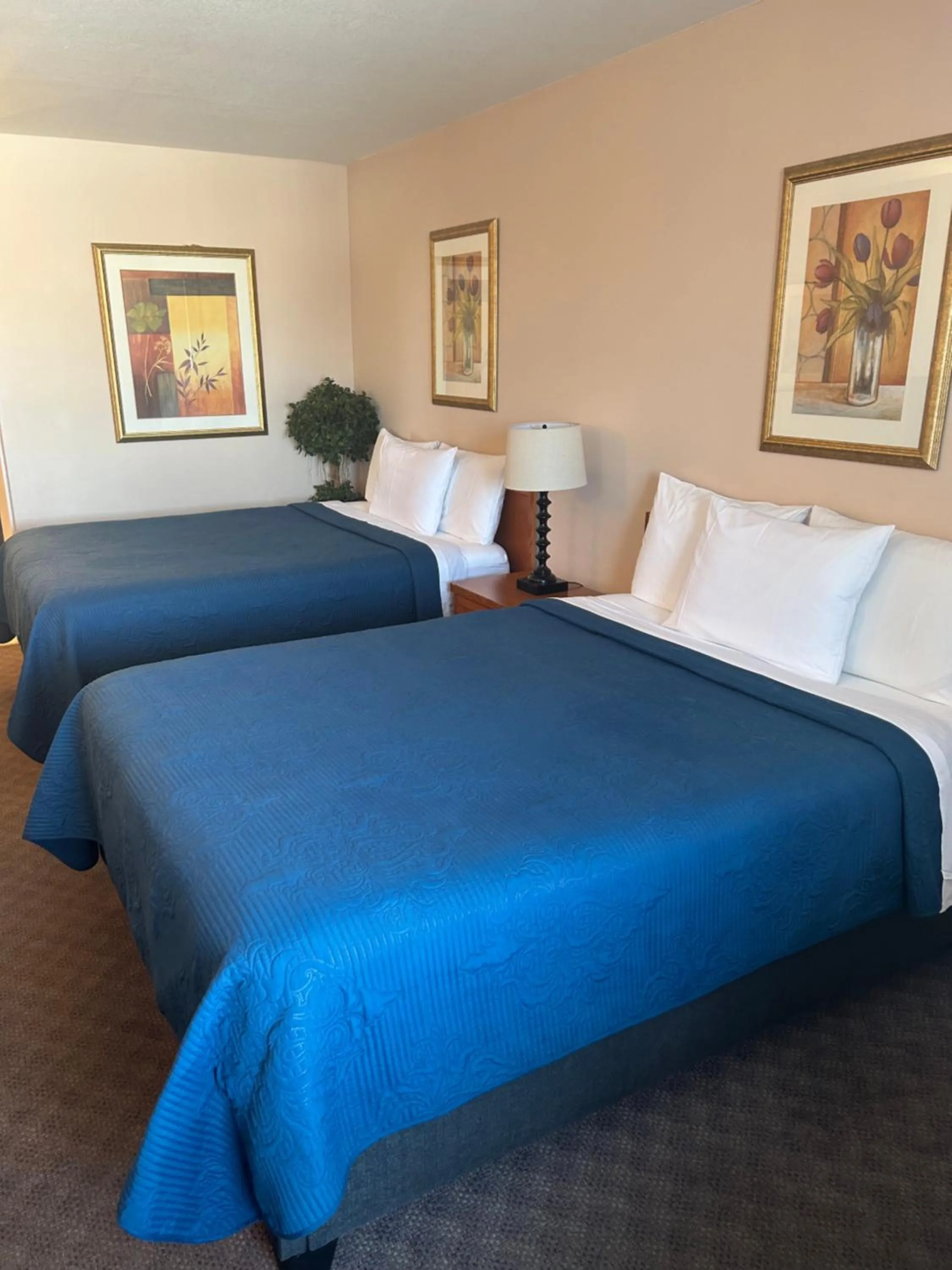 Bed in Lakeview Resort Motel