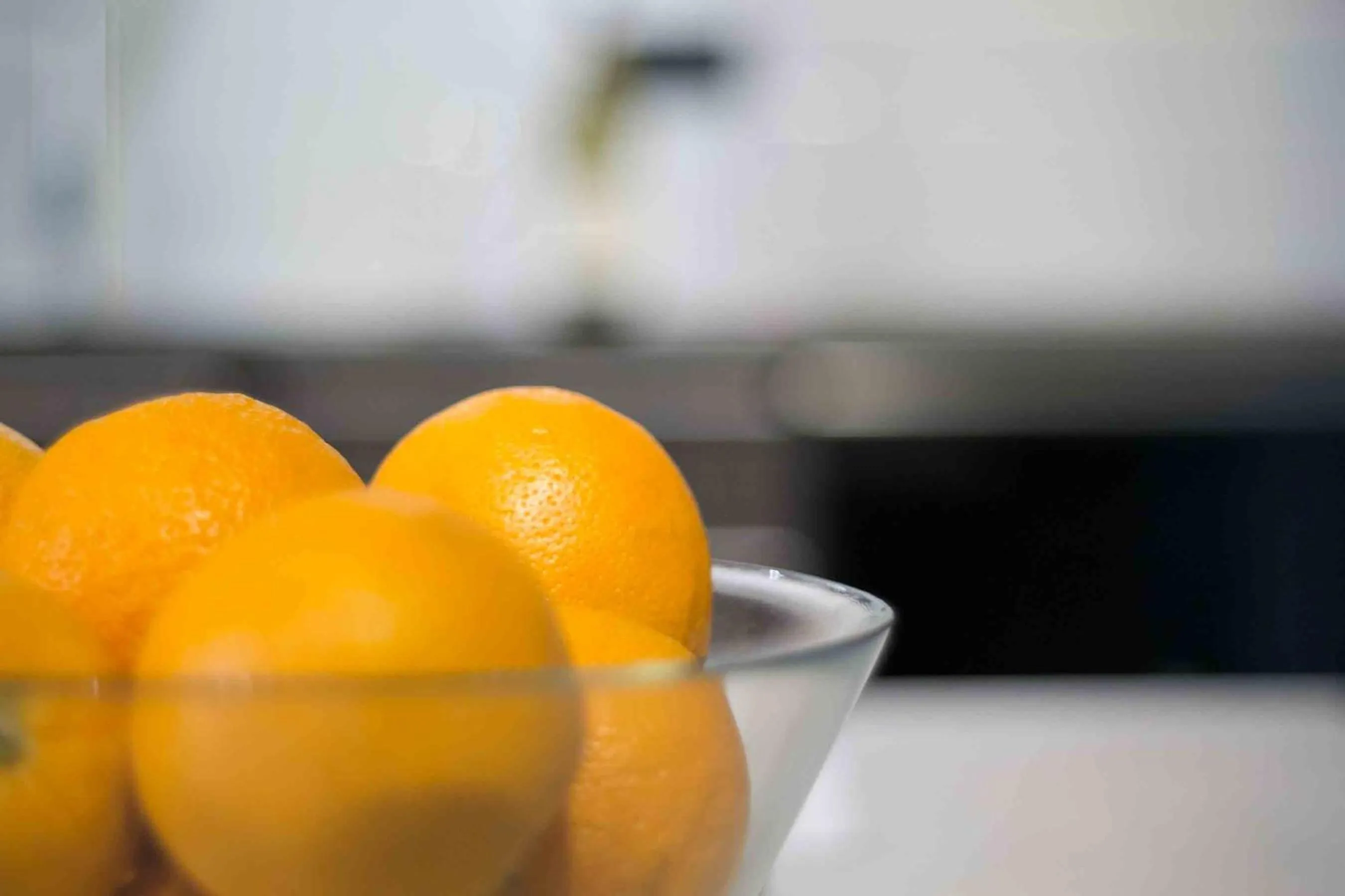 Food in Habitat Apartments Cool Jazz