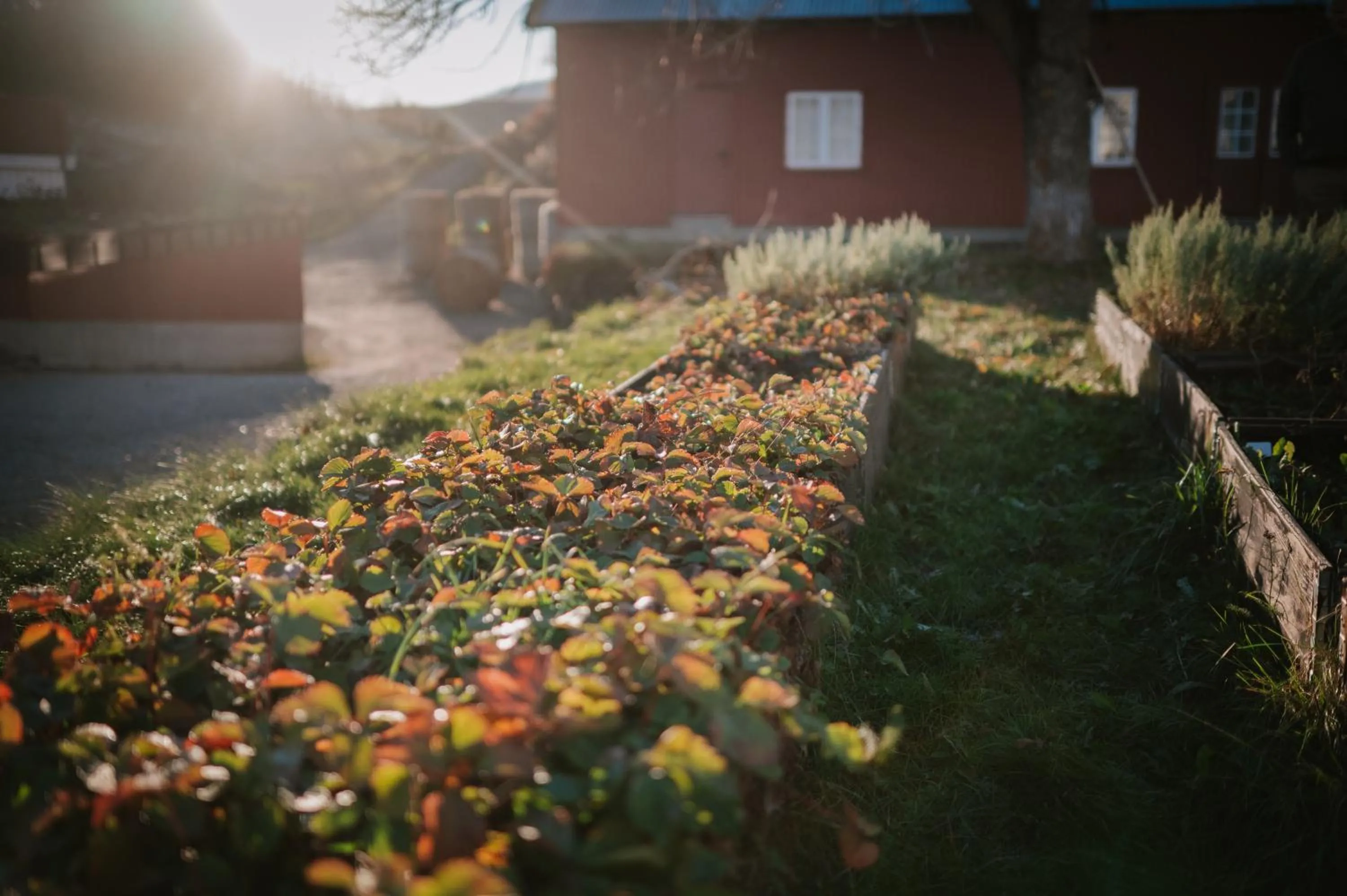 Patio in Helgaker Gård