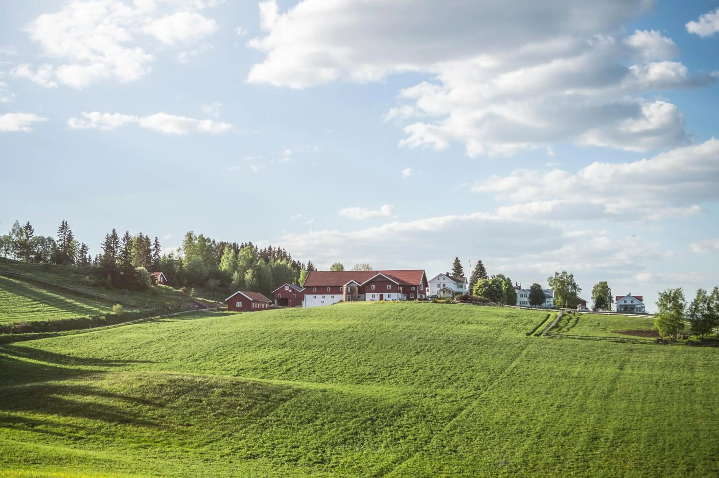 Garden in Helgaker Gård