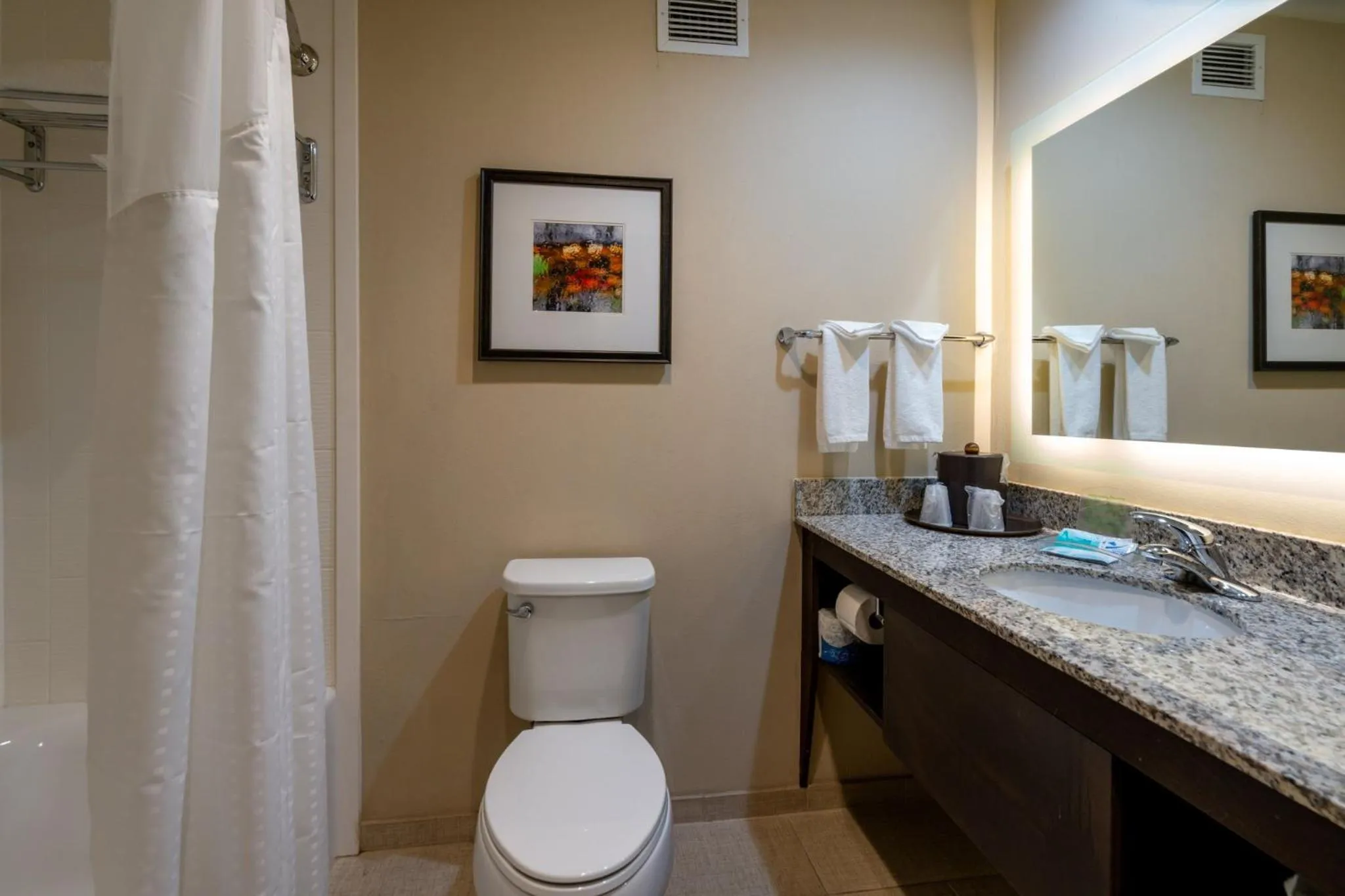 Bathroom in Holiday Inn Murfreesboro by IHG