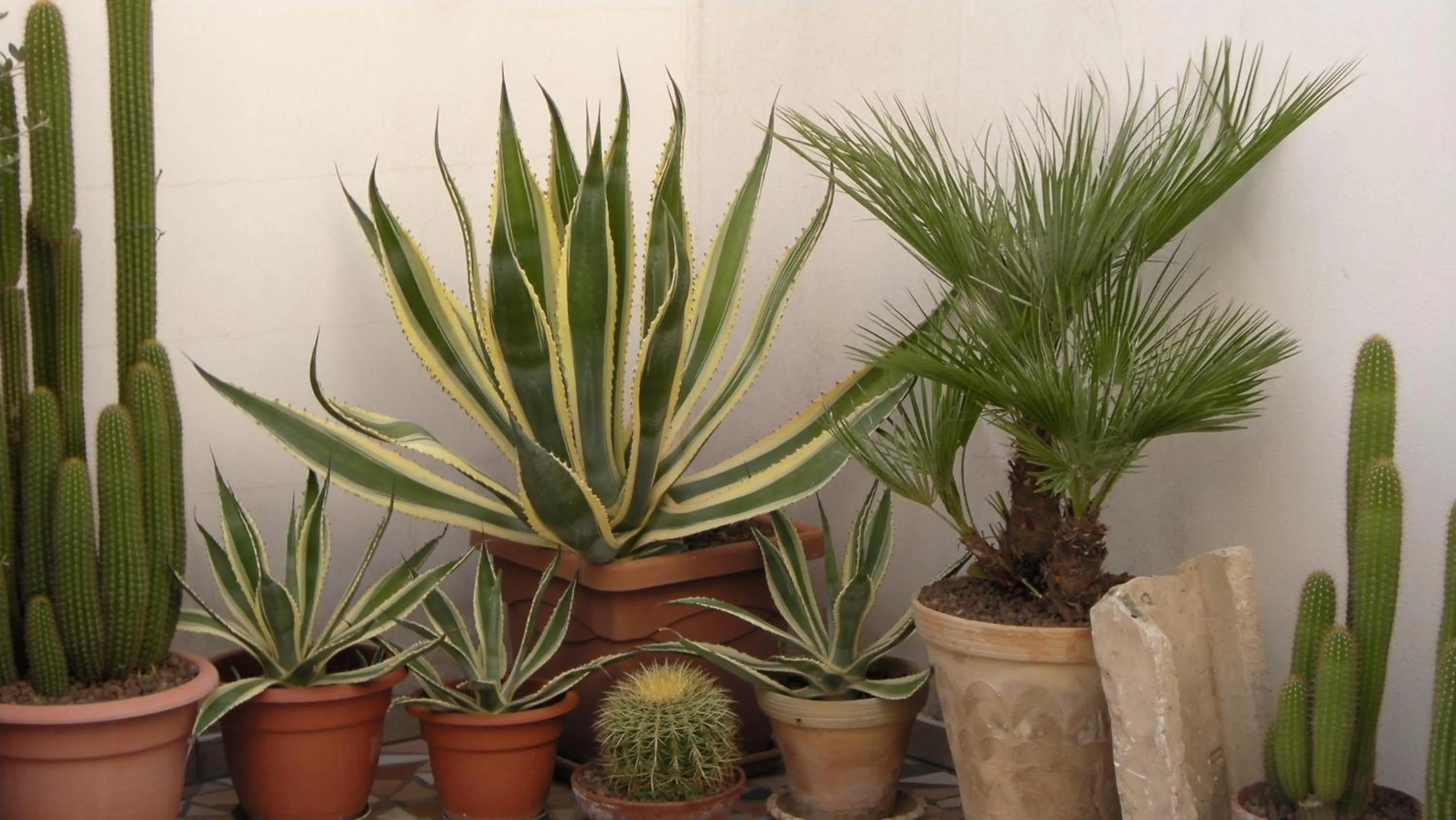 Decorative detail in B&b Altrov'è